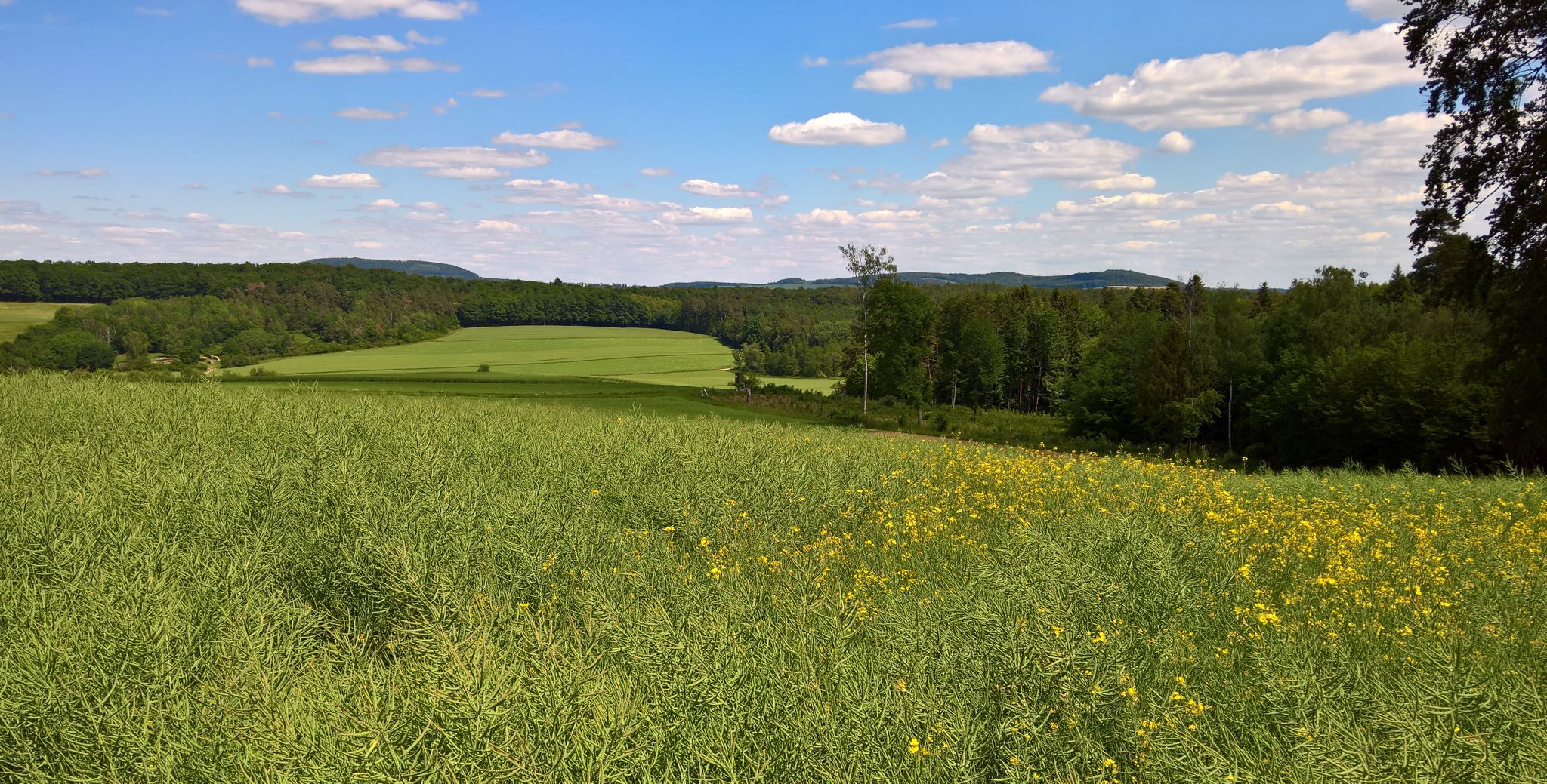 An der Wetterfichte