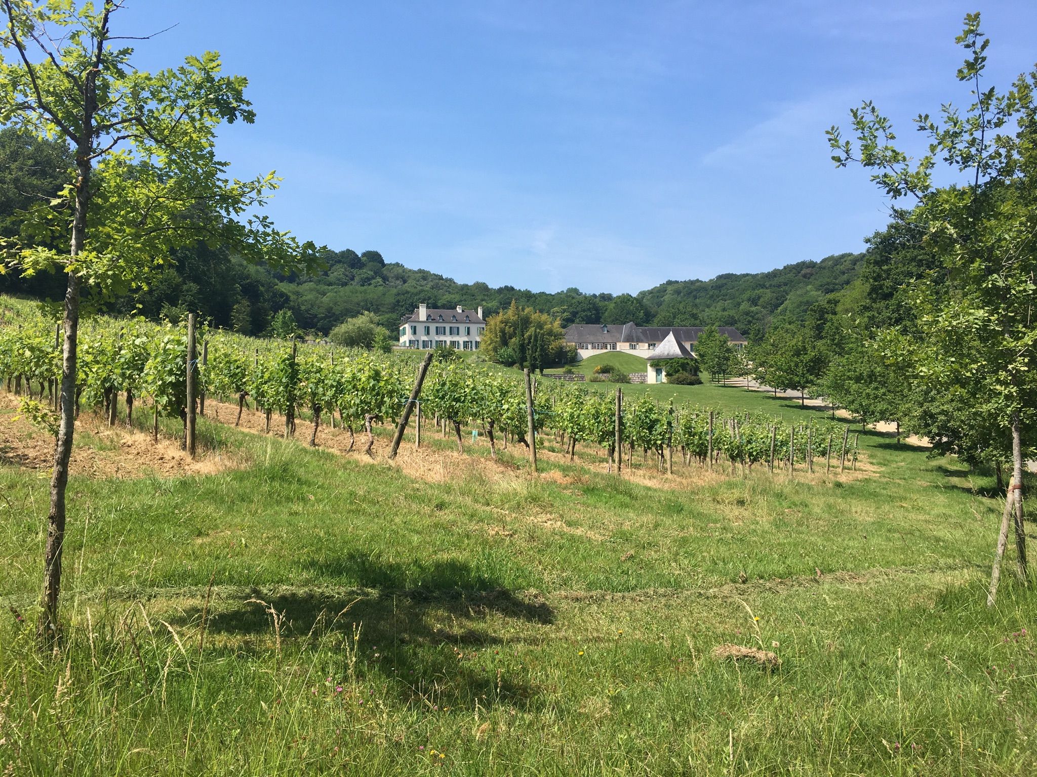 Domaine du Cinquau.
