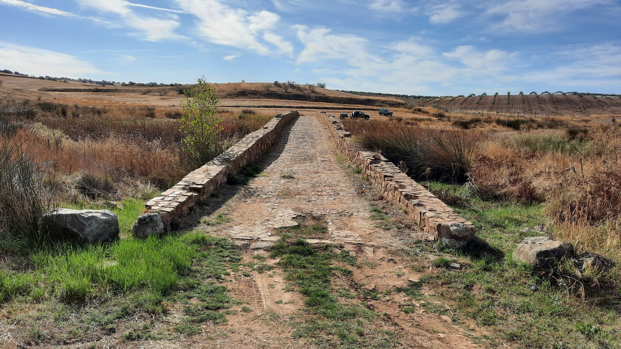 Puente sobre el Jabalón