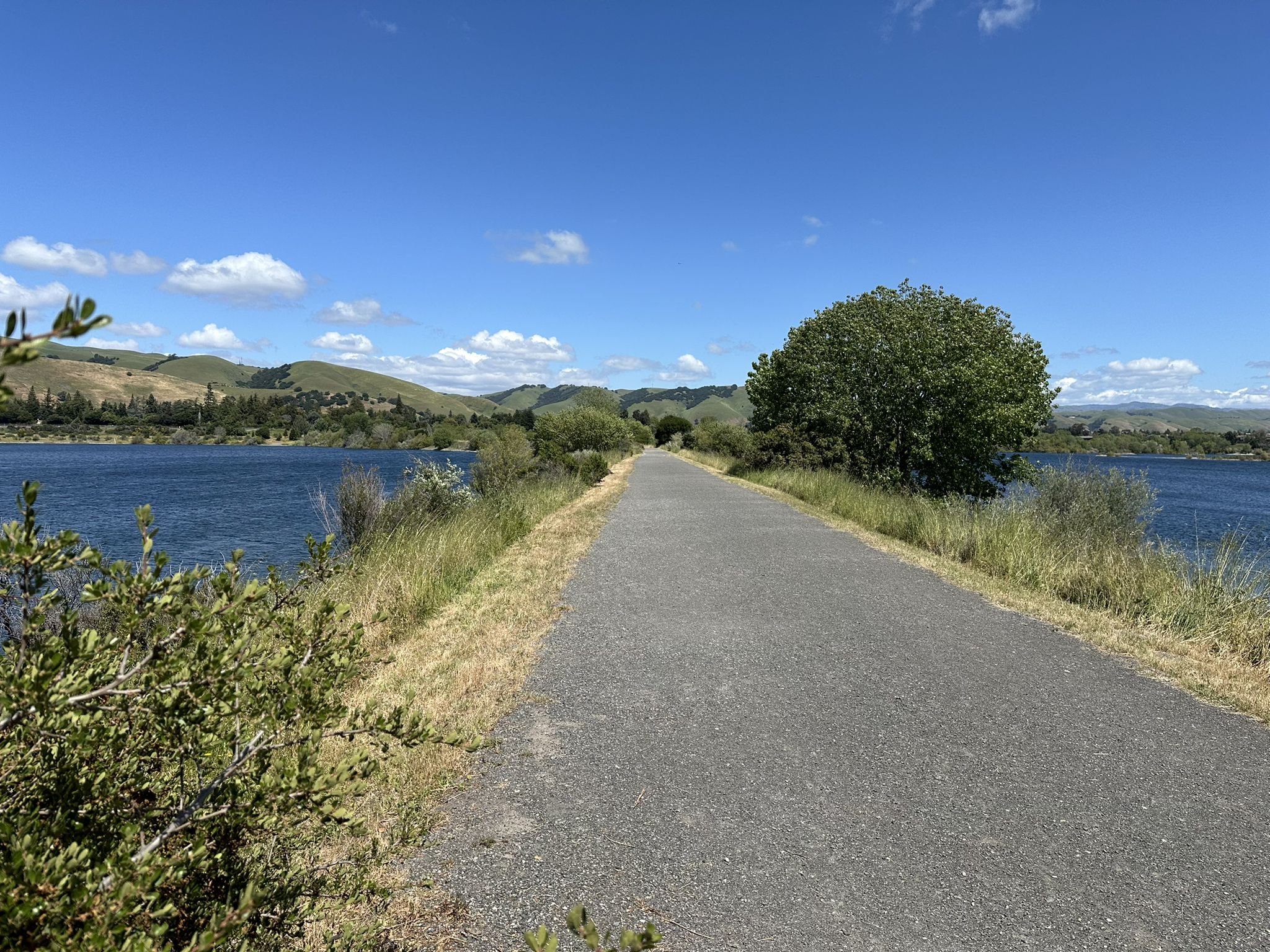 Paved path between two bodies of water on a sunny day. - Old Creek to Western Pacific Trail
