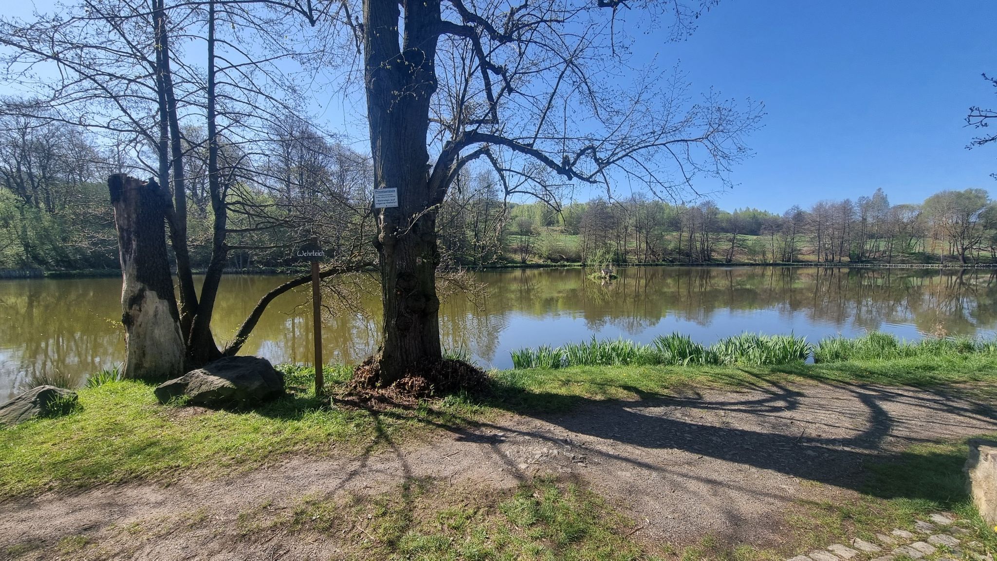 Wehrteich