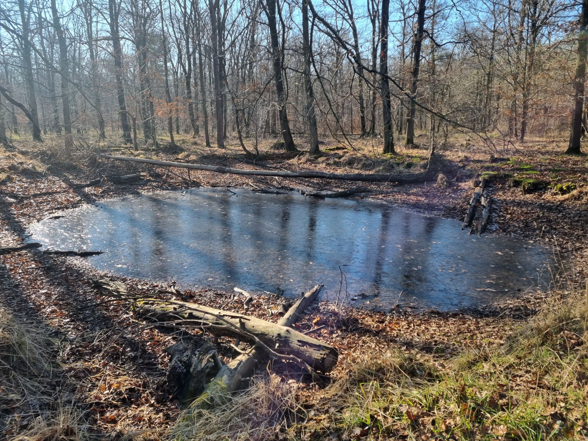 petit bassin gelée