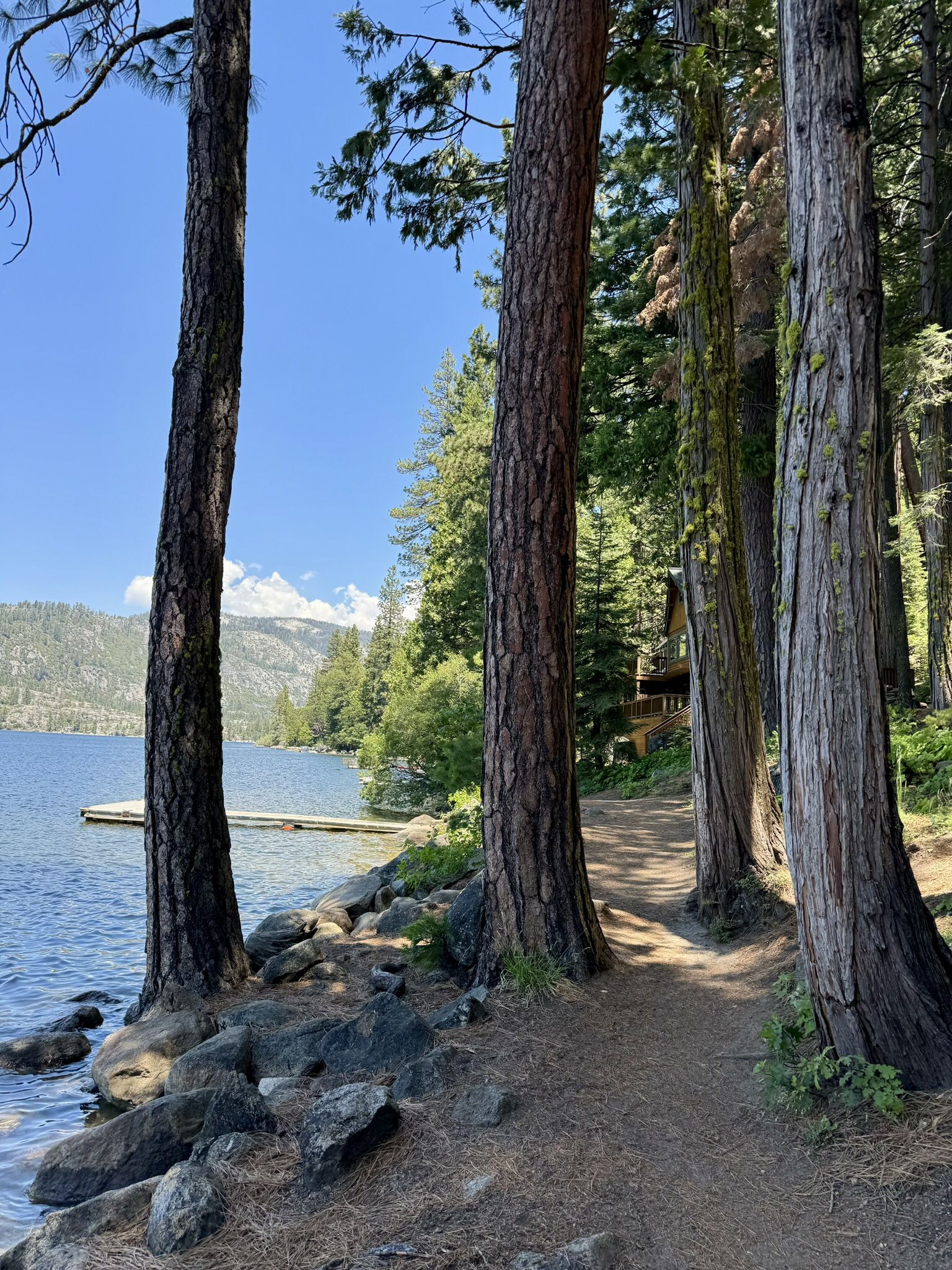 Forest path along a lake shore, with tall trees and a dock. - Pinecrest Lake Trail – Pinecrest General Store loop from Strawberry