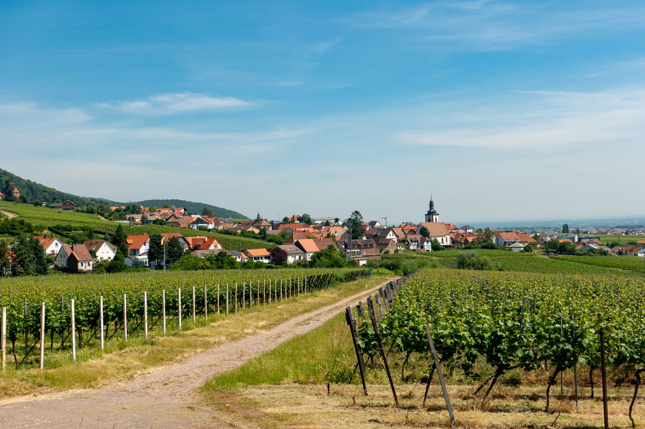 Blick auf Weyher