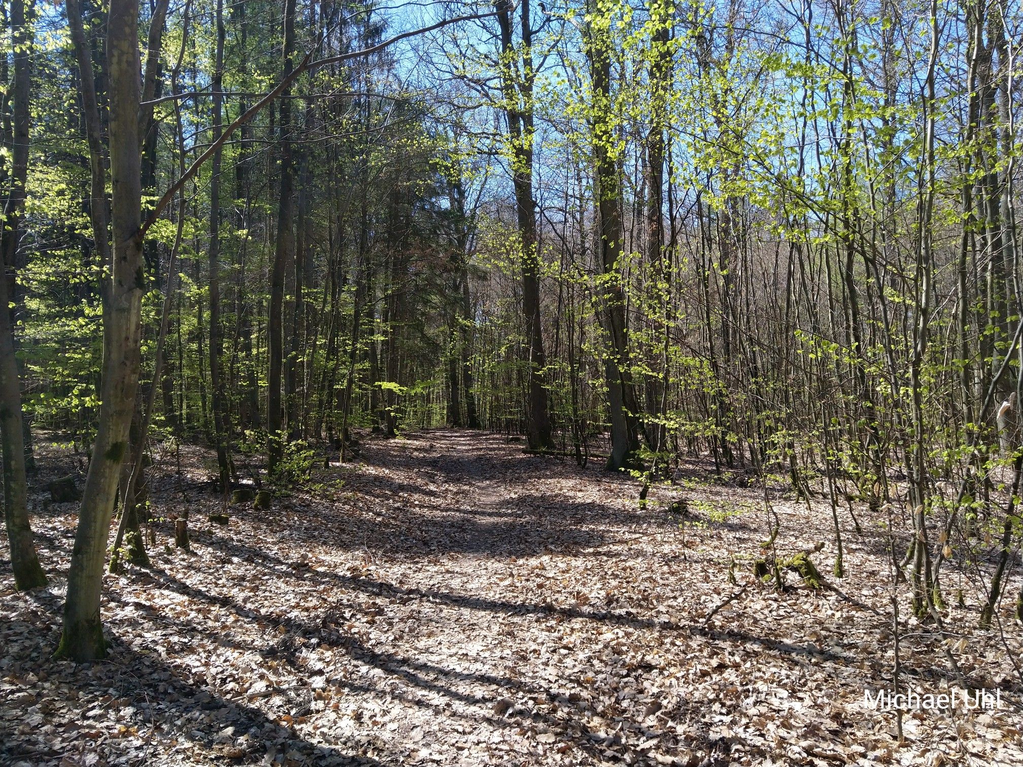 Einfahrt zum Wurzeltrail