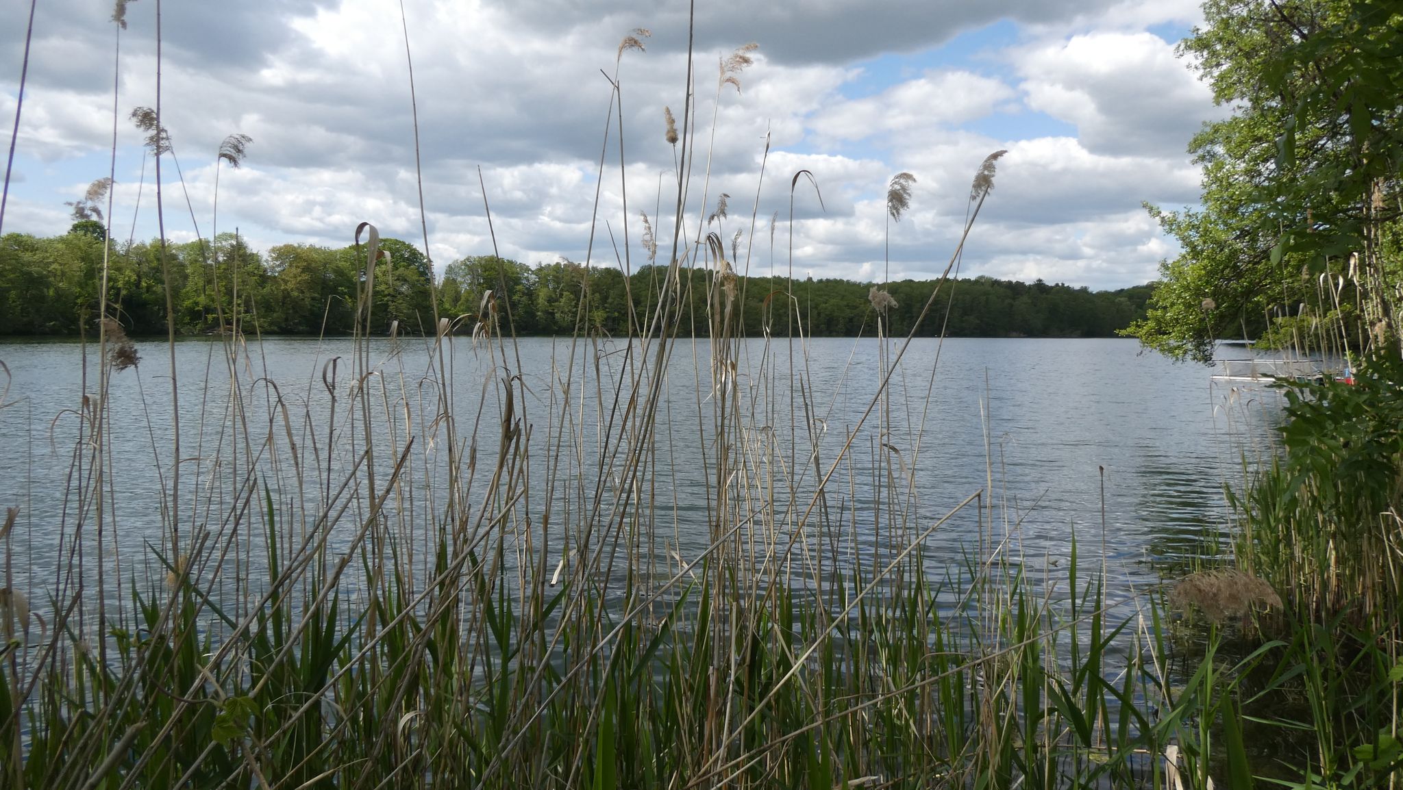 Burgsee