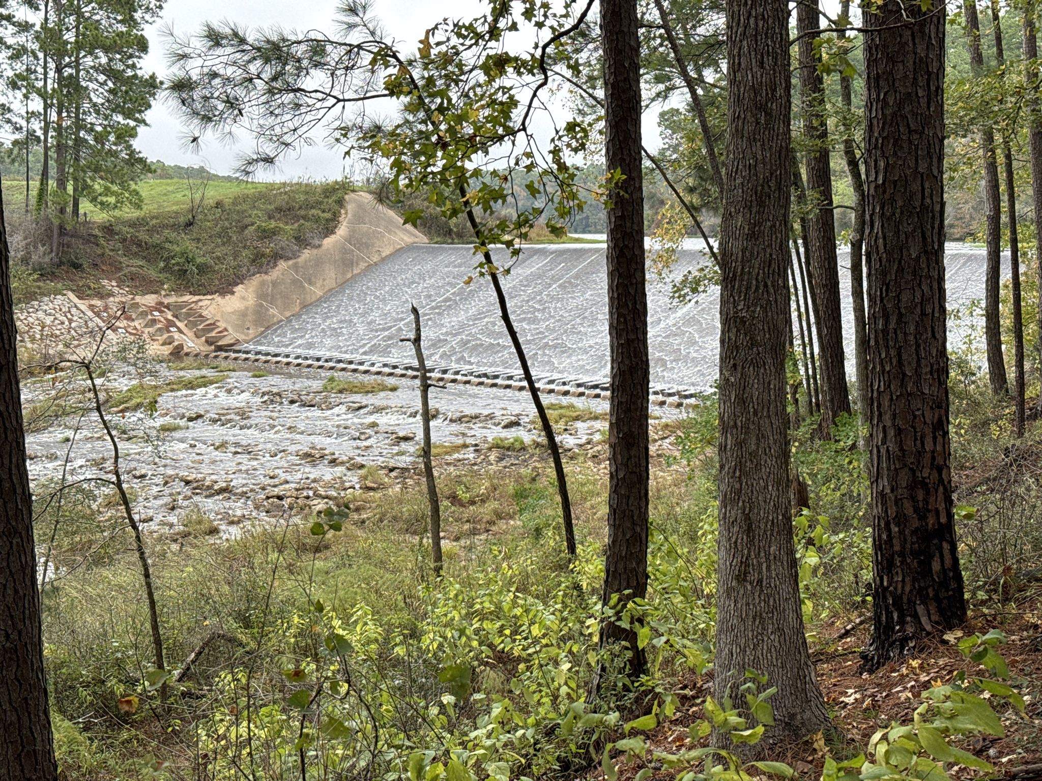 A large concrete dam or spillway with flowing water, viewed through trees. - Chinquapin Trail