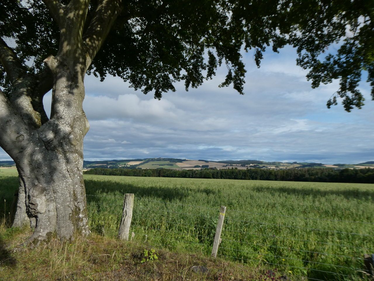 bei Falkland
