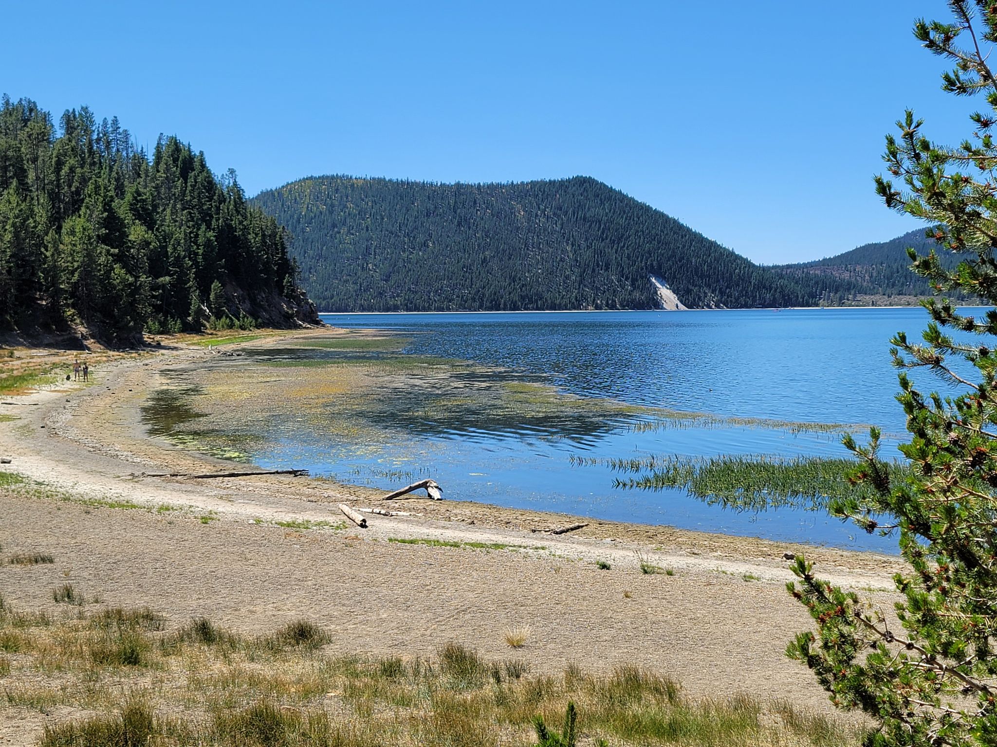 Sandy lake shore with calm water, green reeds, and forested hills on a clear day. - Crater Rim Trail