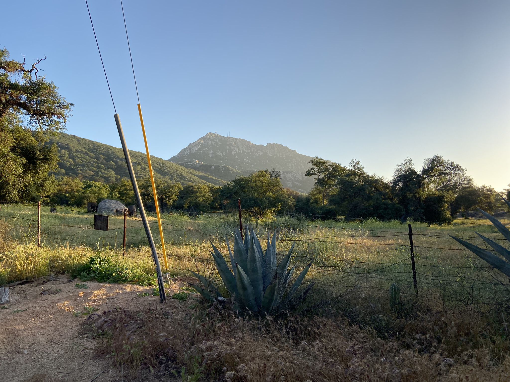 Agave plant in foreground, green field, distant mountain, and power lines at sunset. - Lyons Valley Trading Post loop from Rancho San Diego
