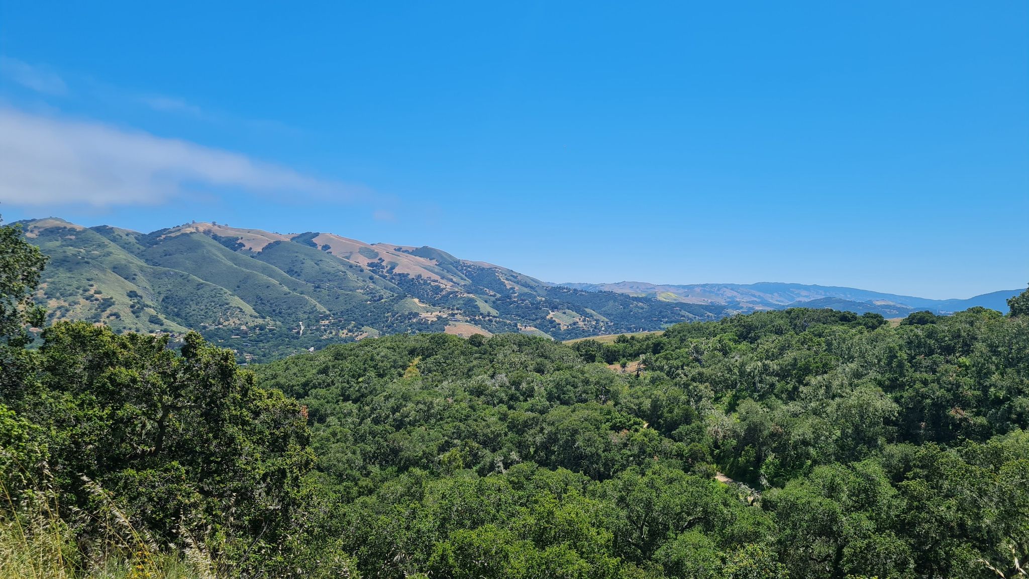 Expansive green forested hills under a clear bright blue sky. - Garzas Canyon Loop