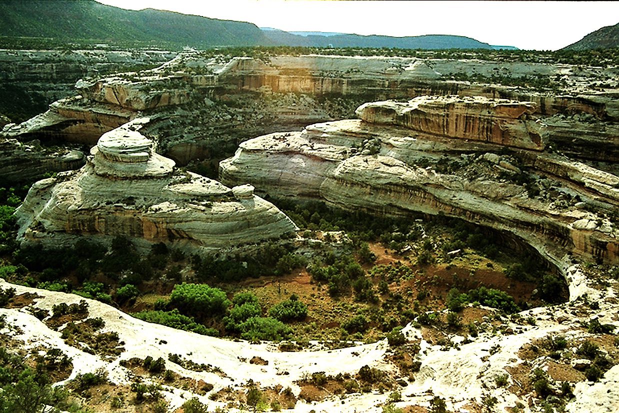 Wide view of multiple layered rock formations and canyons with green foliage. - Sipapu Bridge Trail