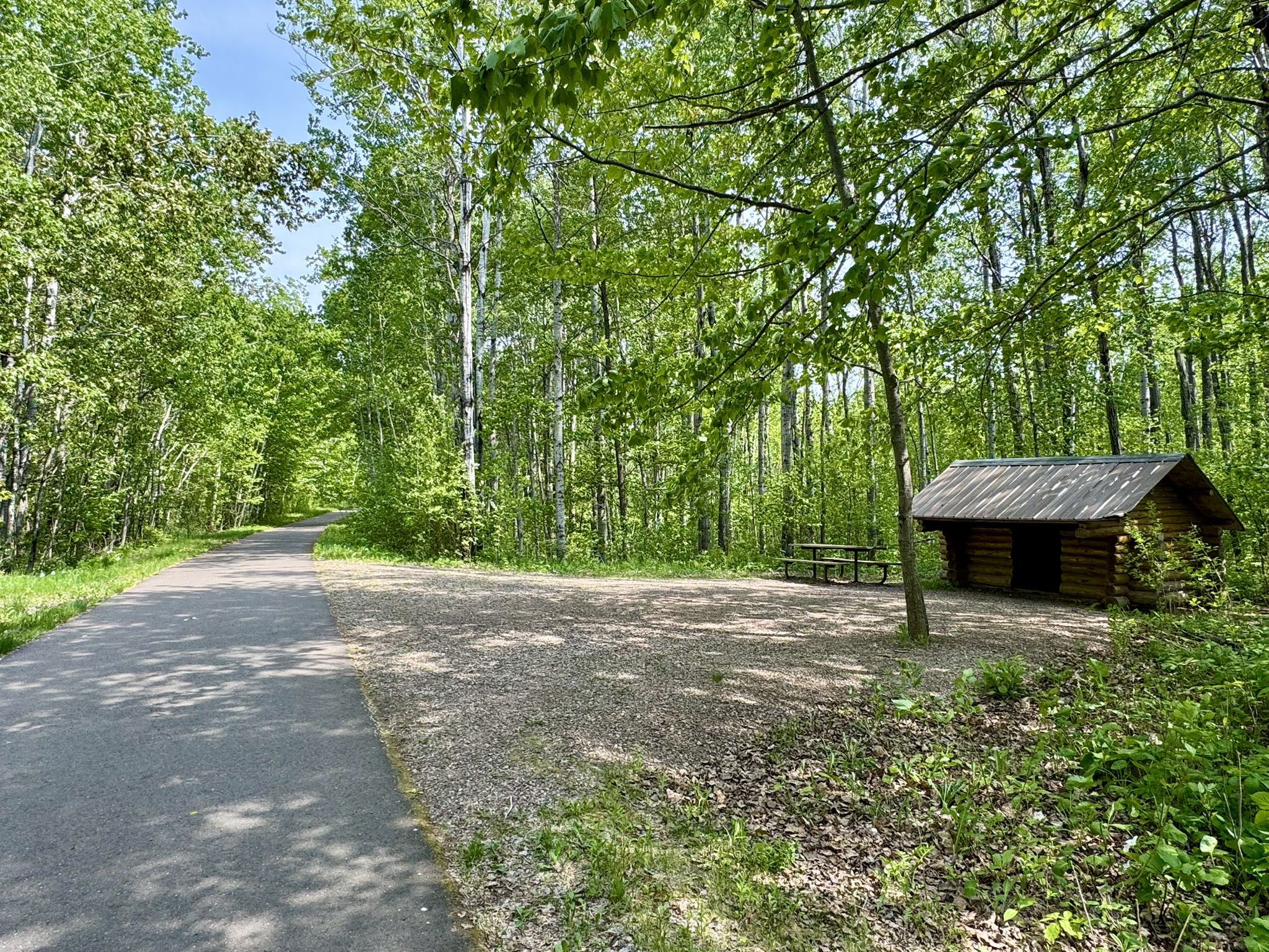 Paved path next to a log cabin and picnic table in a sunny forest. - Duluth Traverse and Lakewalk Loop