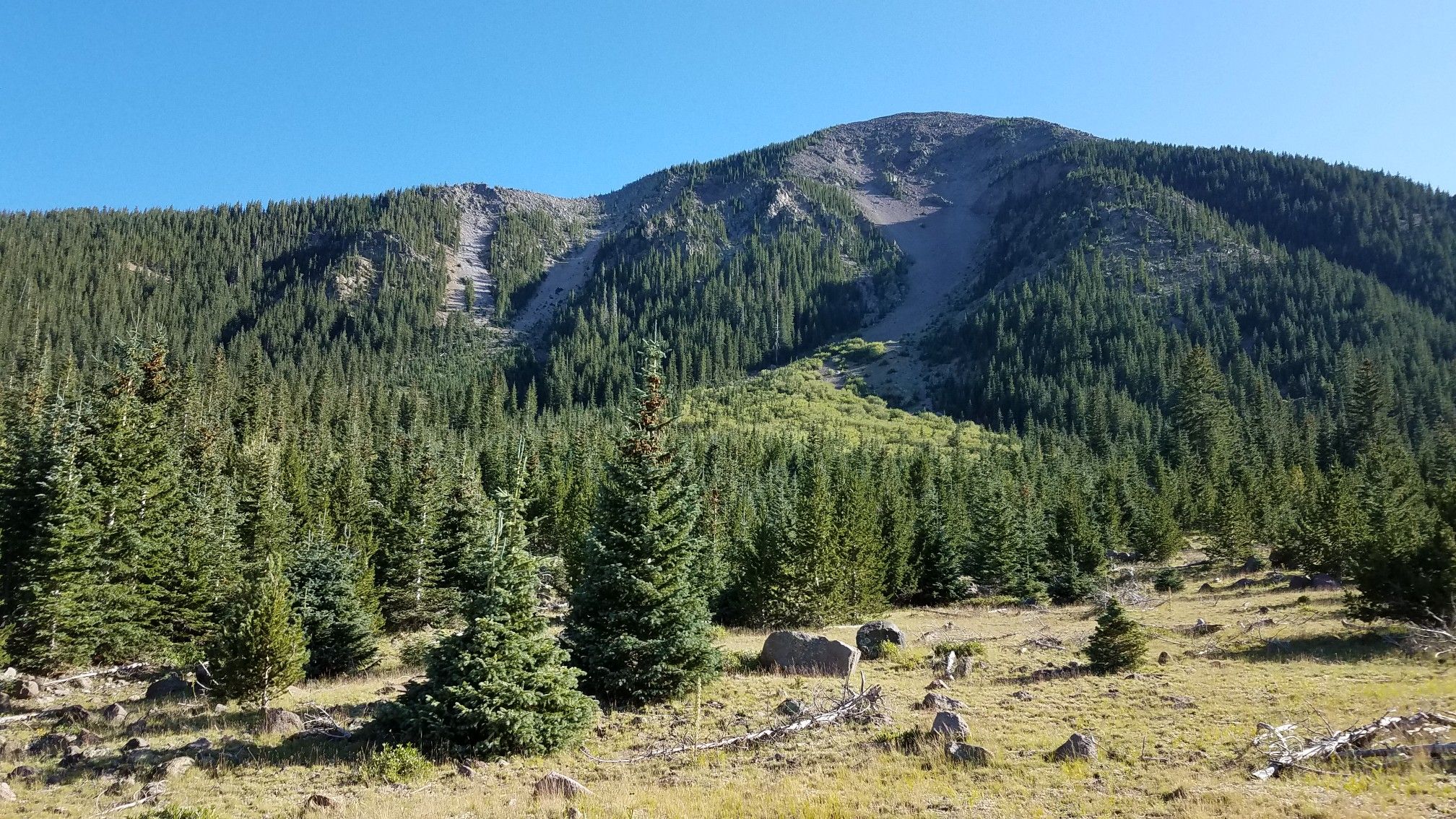 A large mountain covered in evergreen trees under a clear blue sky. - Fremont Saddle – Humphreys Peak Trail Junction loop from Locket Meadow Tank