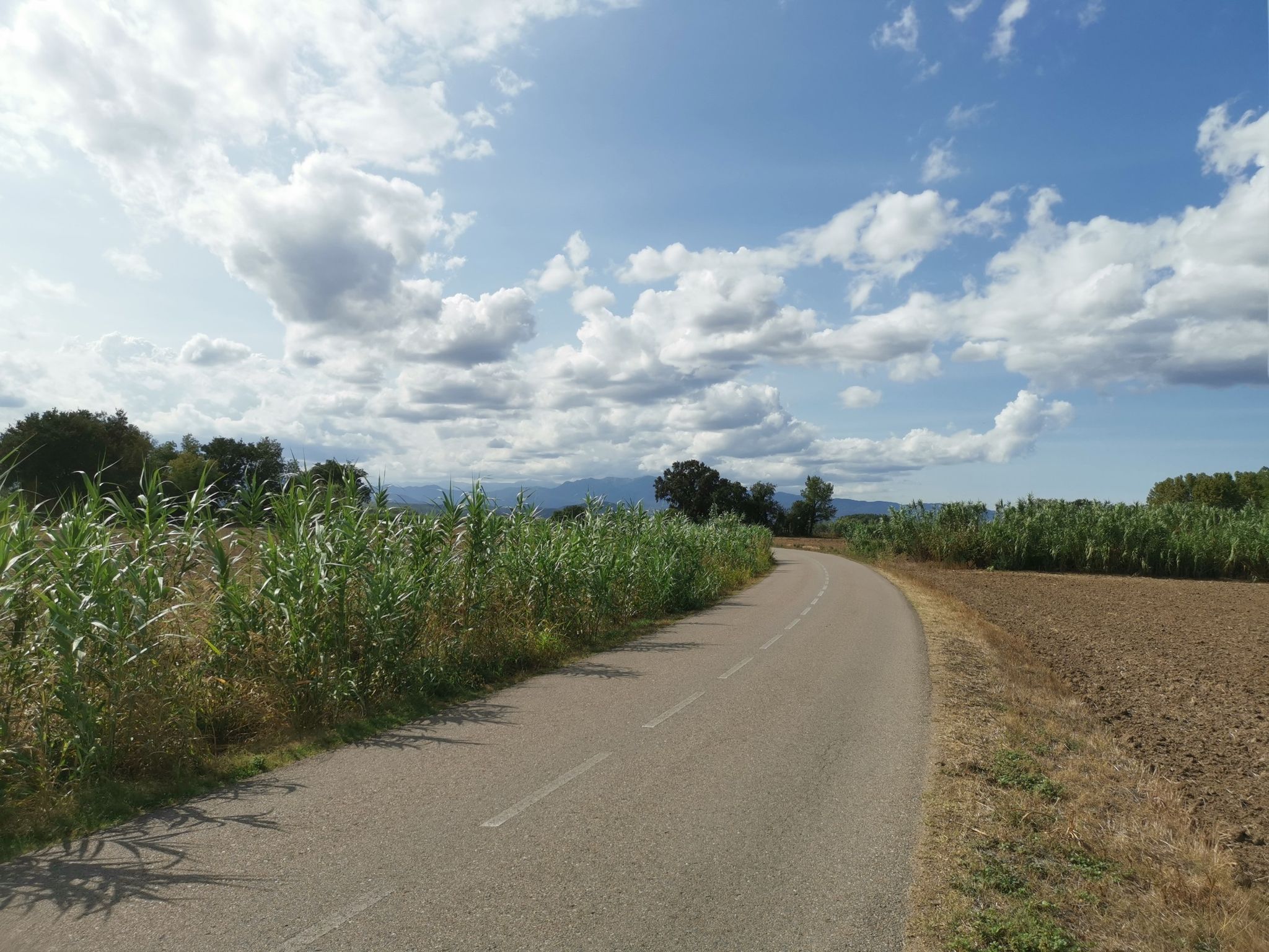 Fernblick auf die Pyrenäen