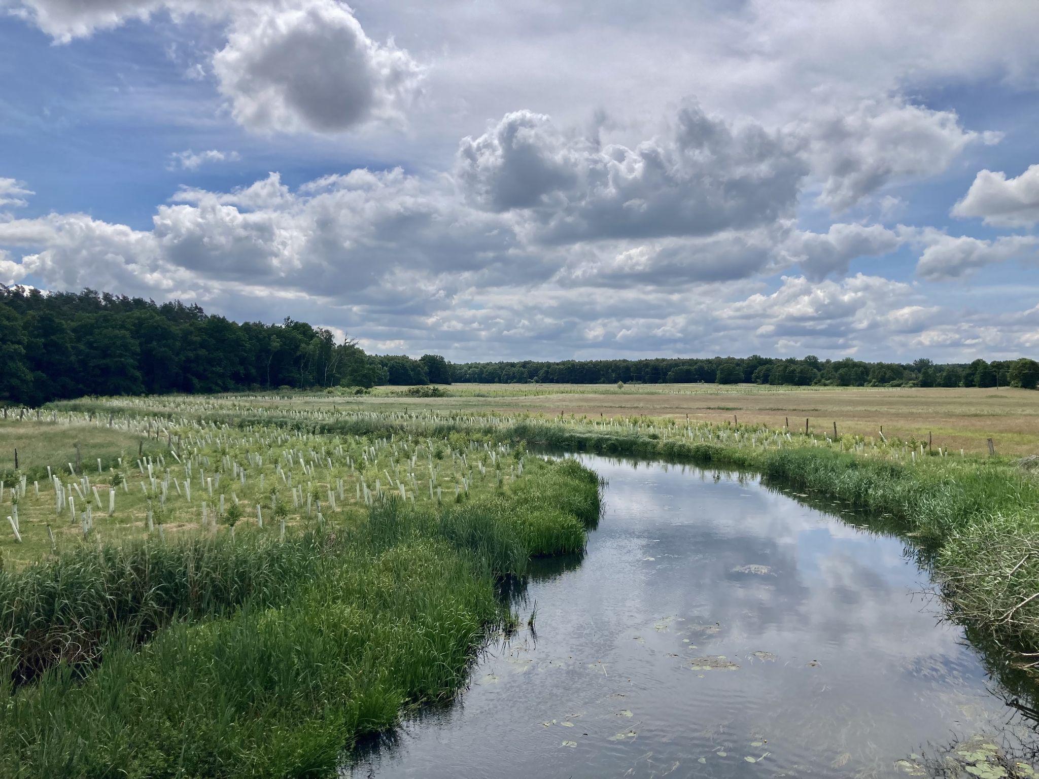 Nebelring Kanal