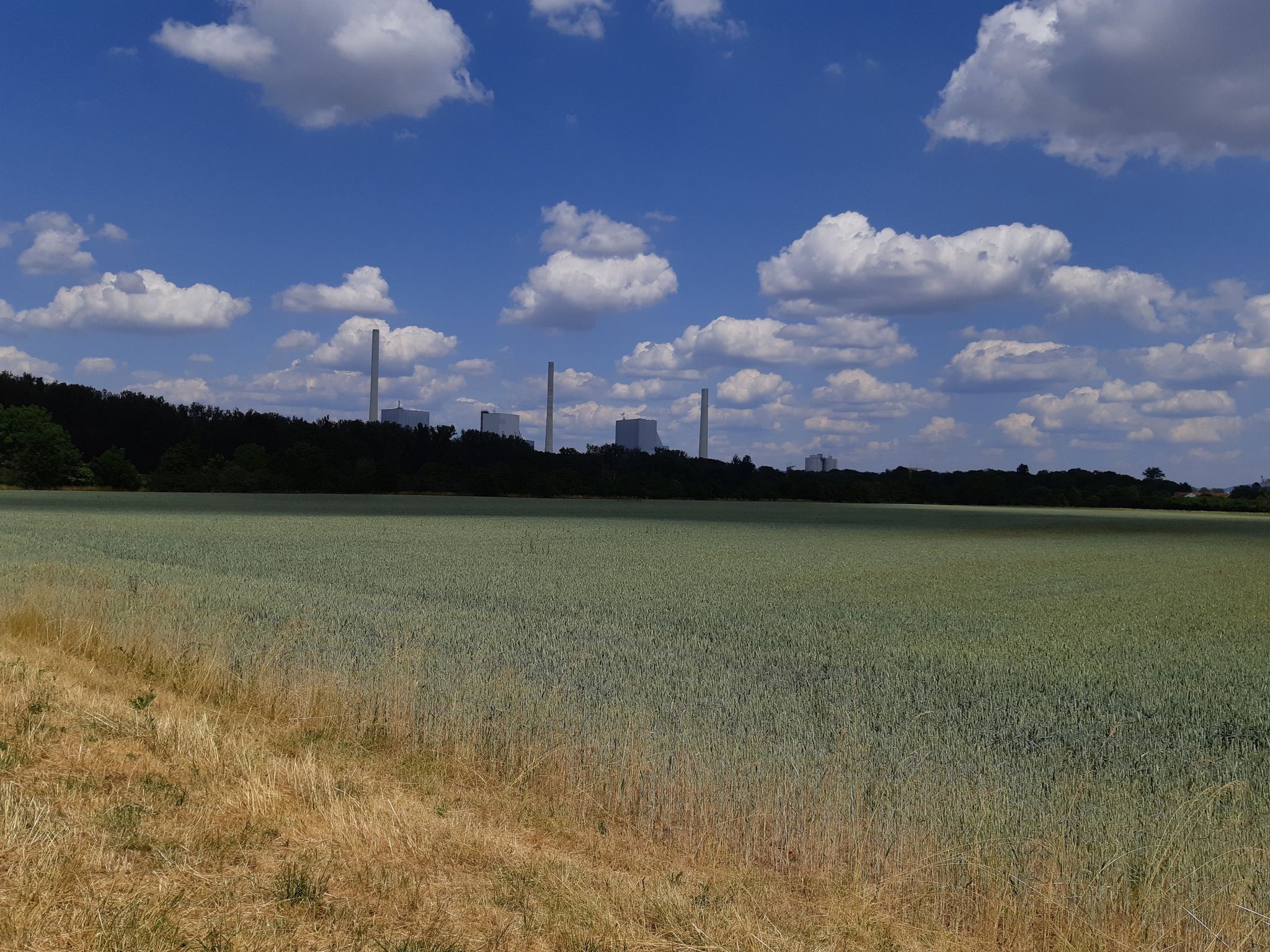 GKM Mannheim