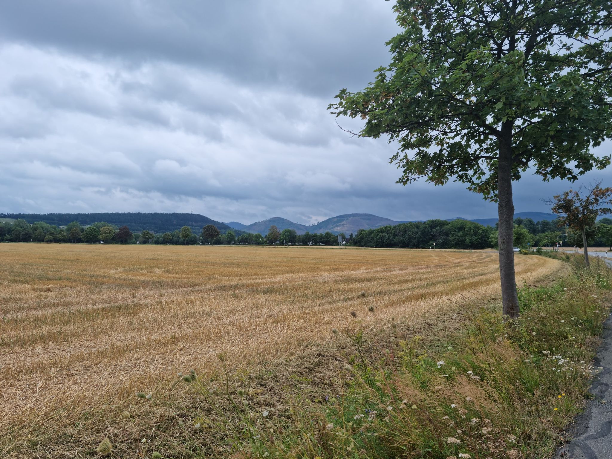 Das war der finstere Harz 