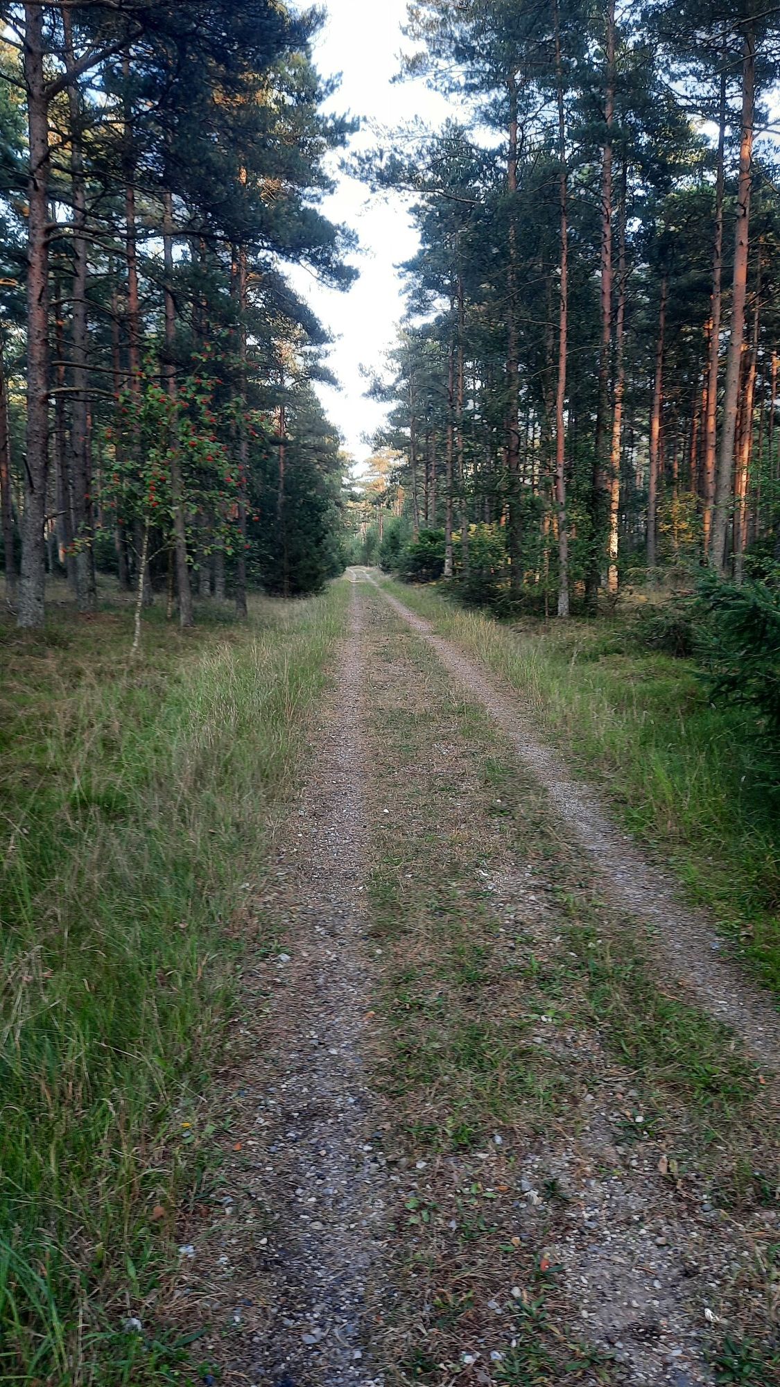 Weg