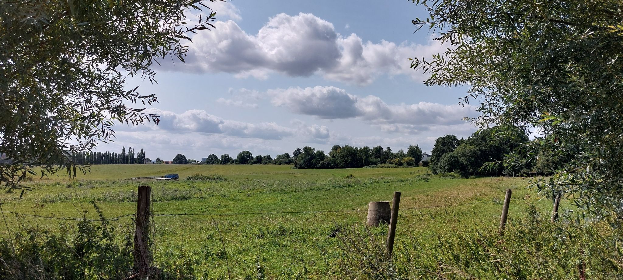 Zicht op Scheutbos