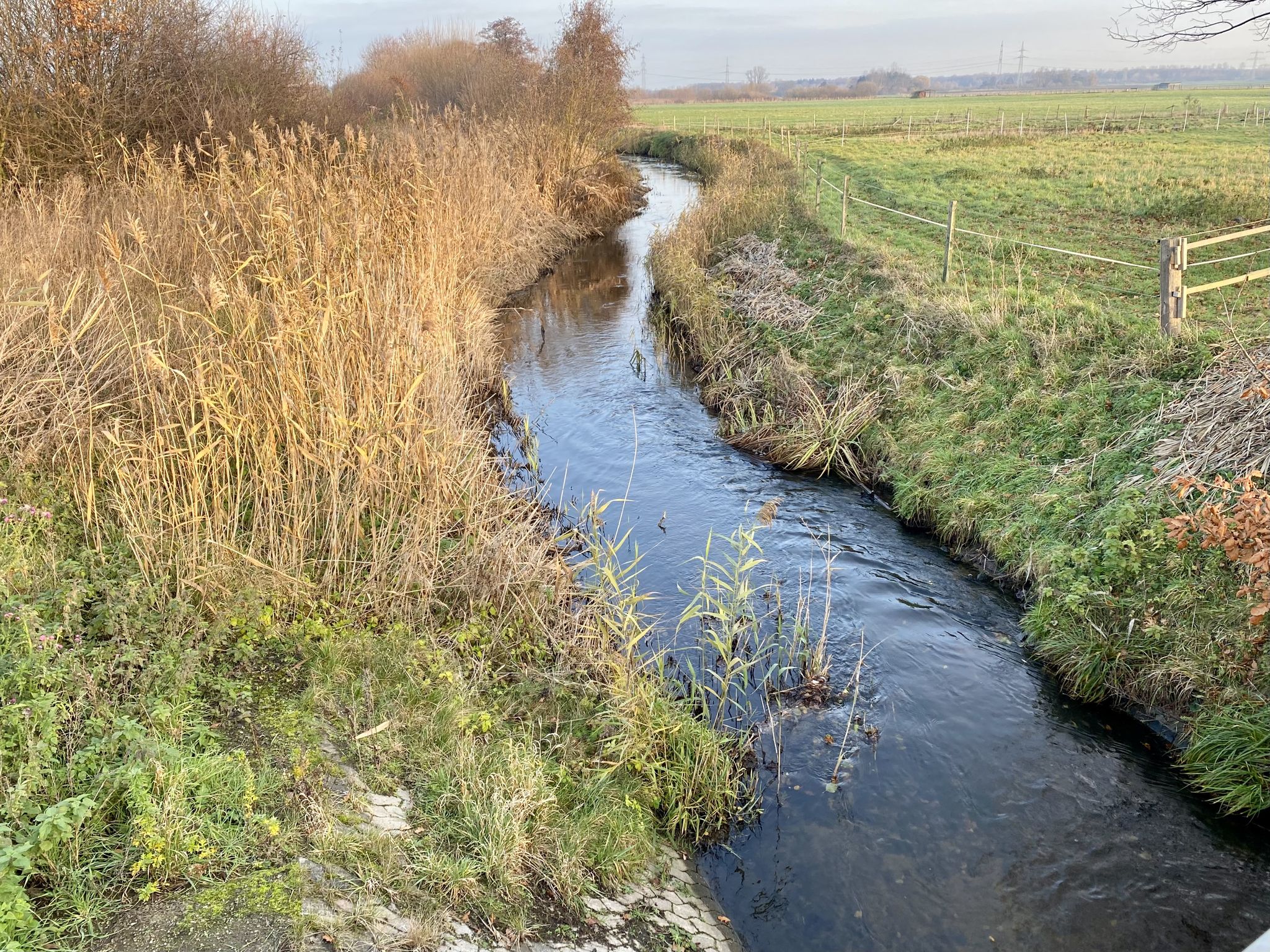 Die Aue bei Vechelade