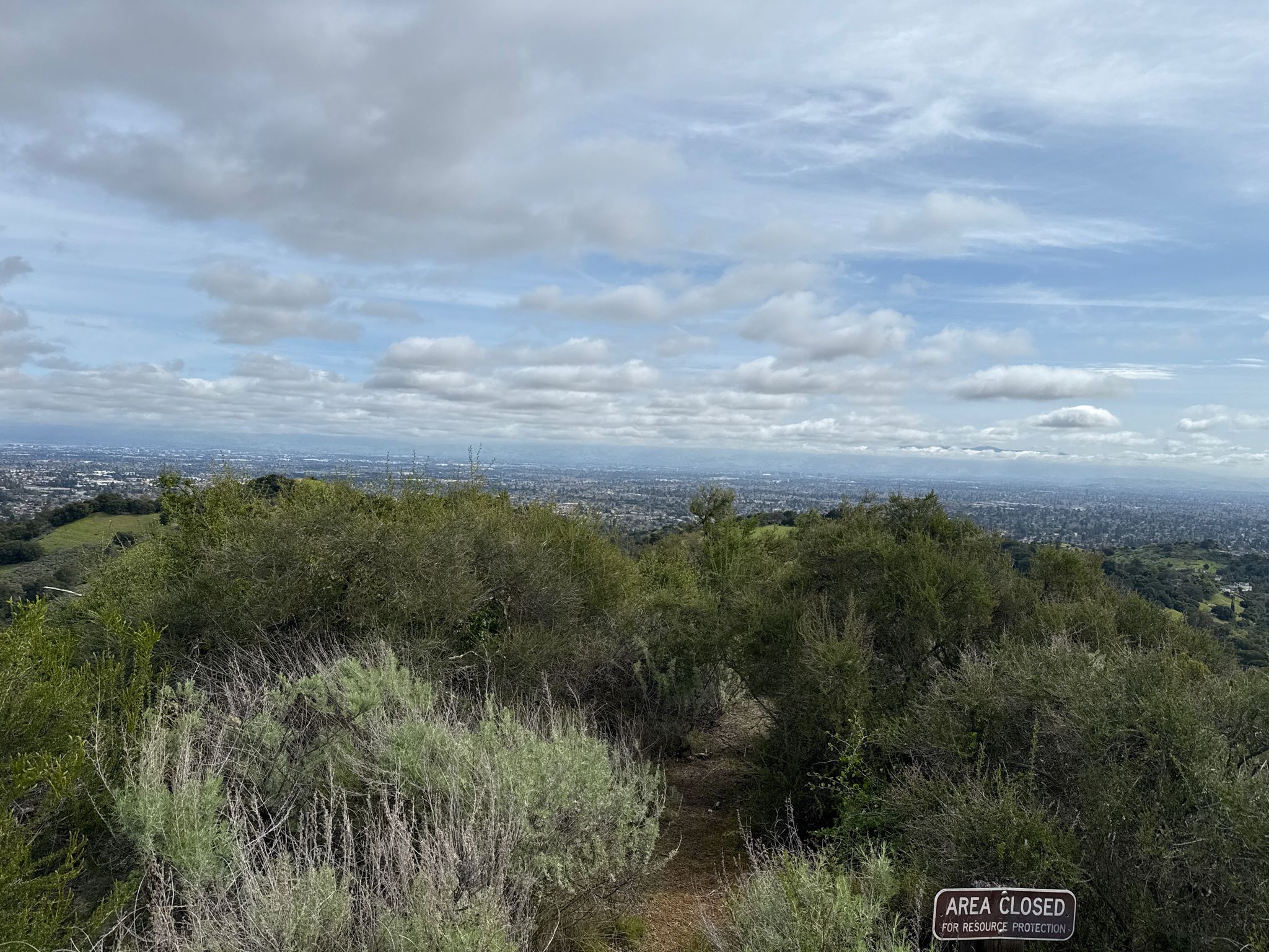 Overcast view of green hills overlooking a distant city under a cloudy sky. - Nob Hill – View from Maisie's Peak loop from Fremont Older Open Space Preserve