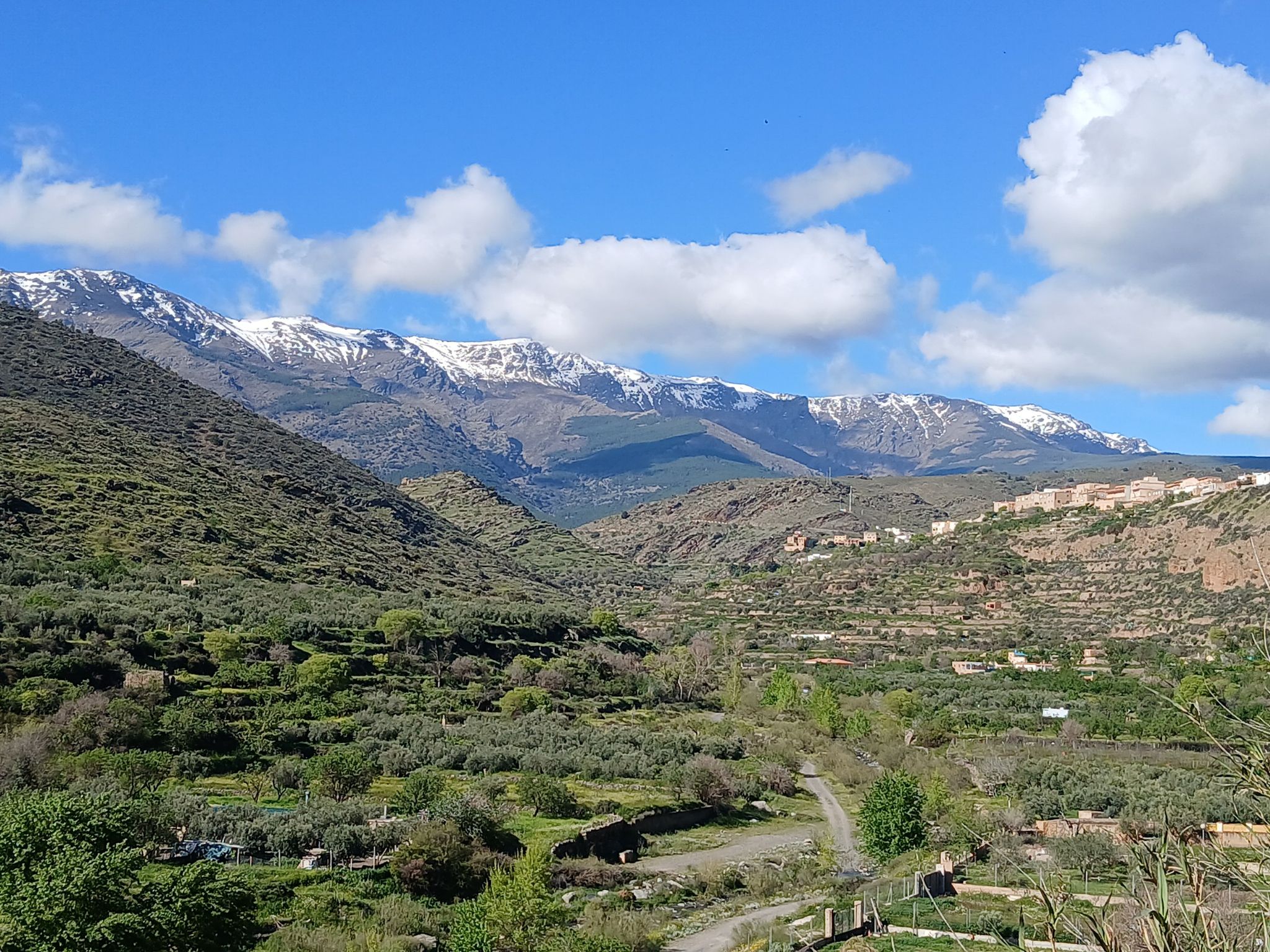 sierra nevada