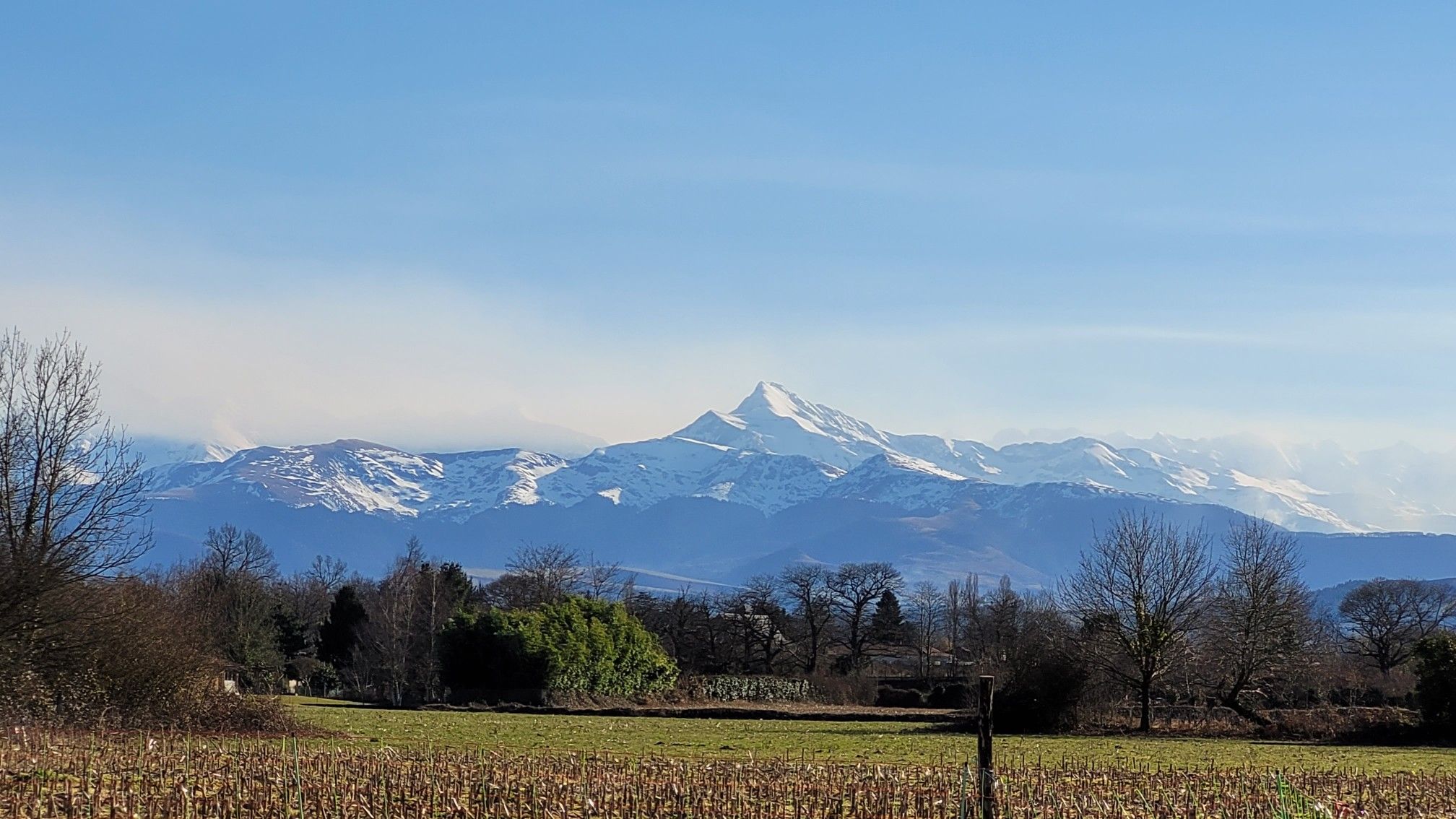 Le Pic de Montaigu (2339m).
