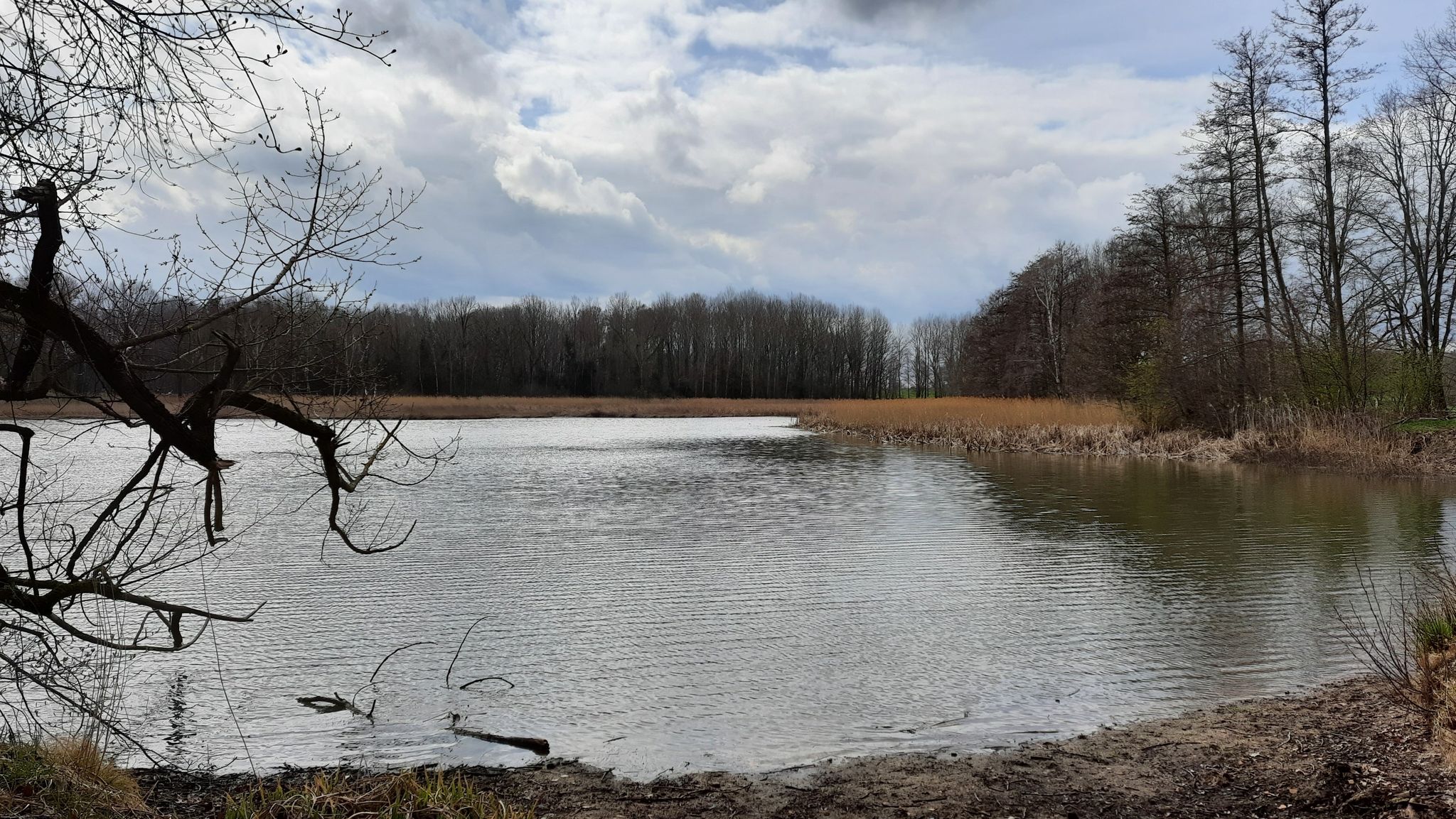 Altteich