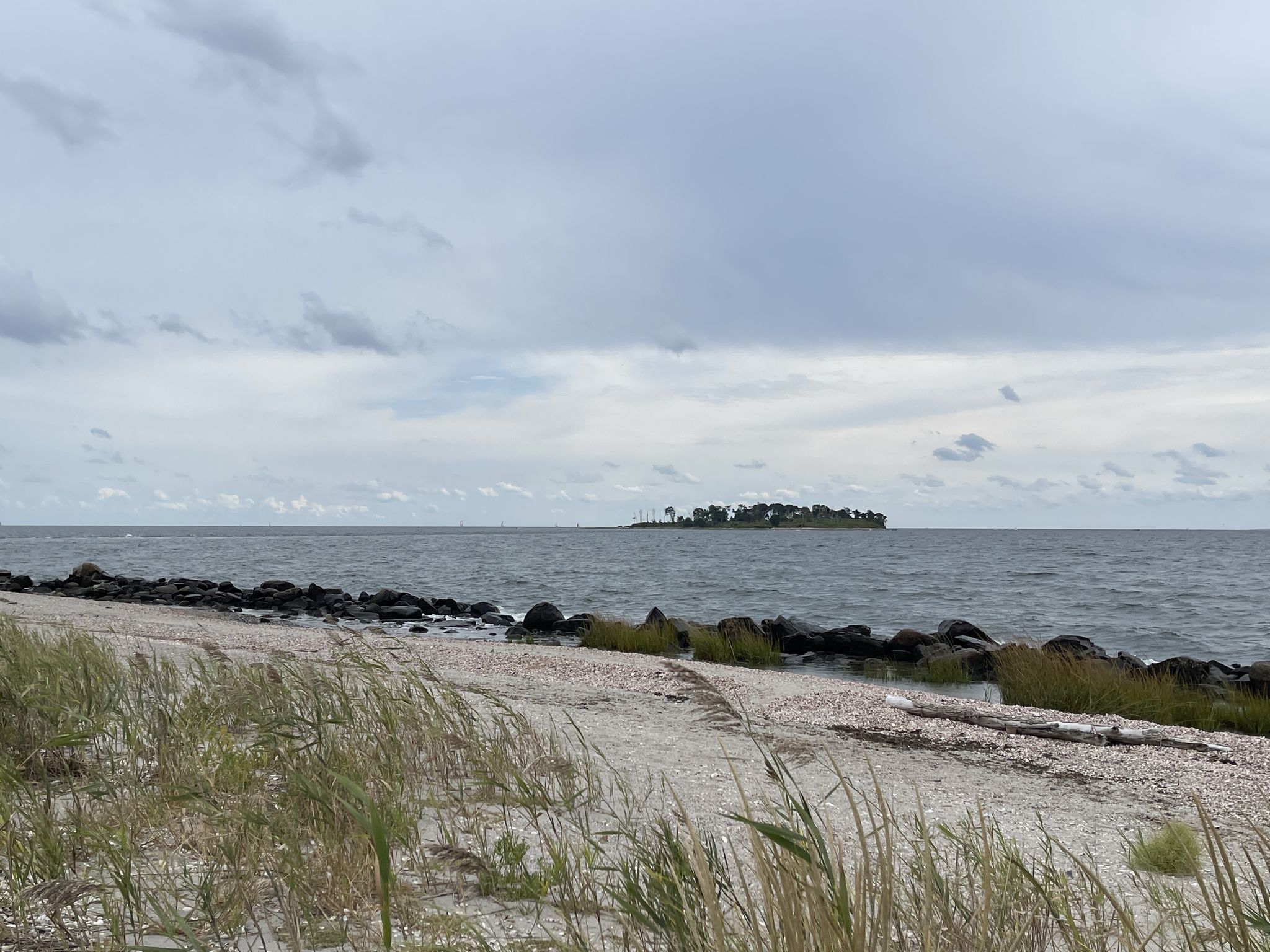 Sandy beach with tall grass, ocean, and distant island under cloudy sky. - Silver Sands State Park Trail