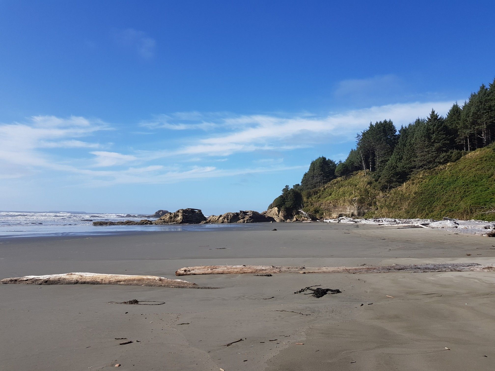 Sunny beach with driftwood, ocean waves, and a forested cliff. - Kalaloch to Browns Point Trail Run