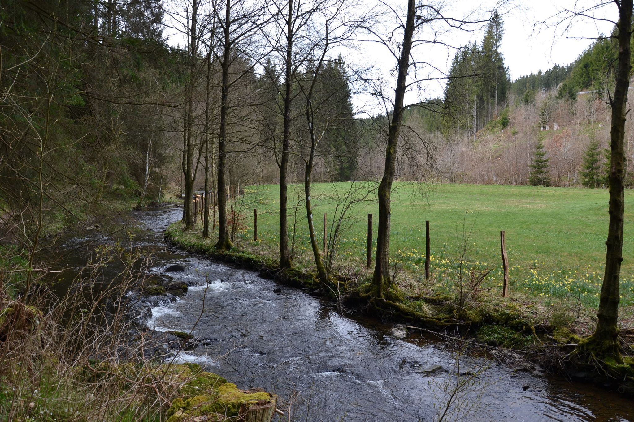 Perlenbach