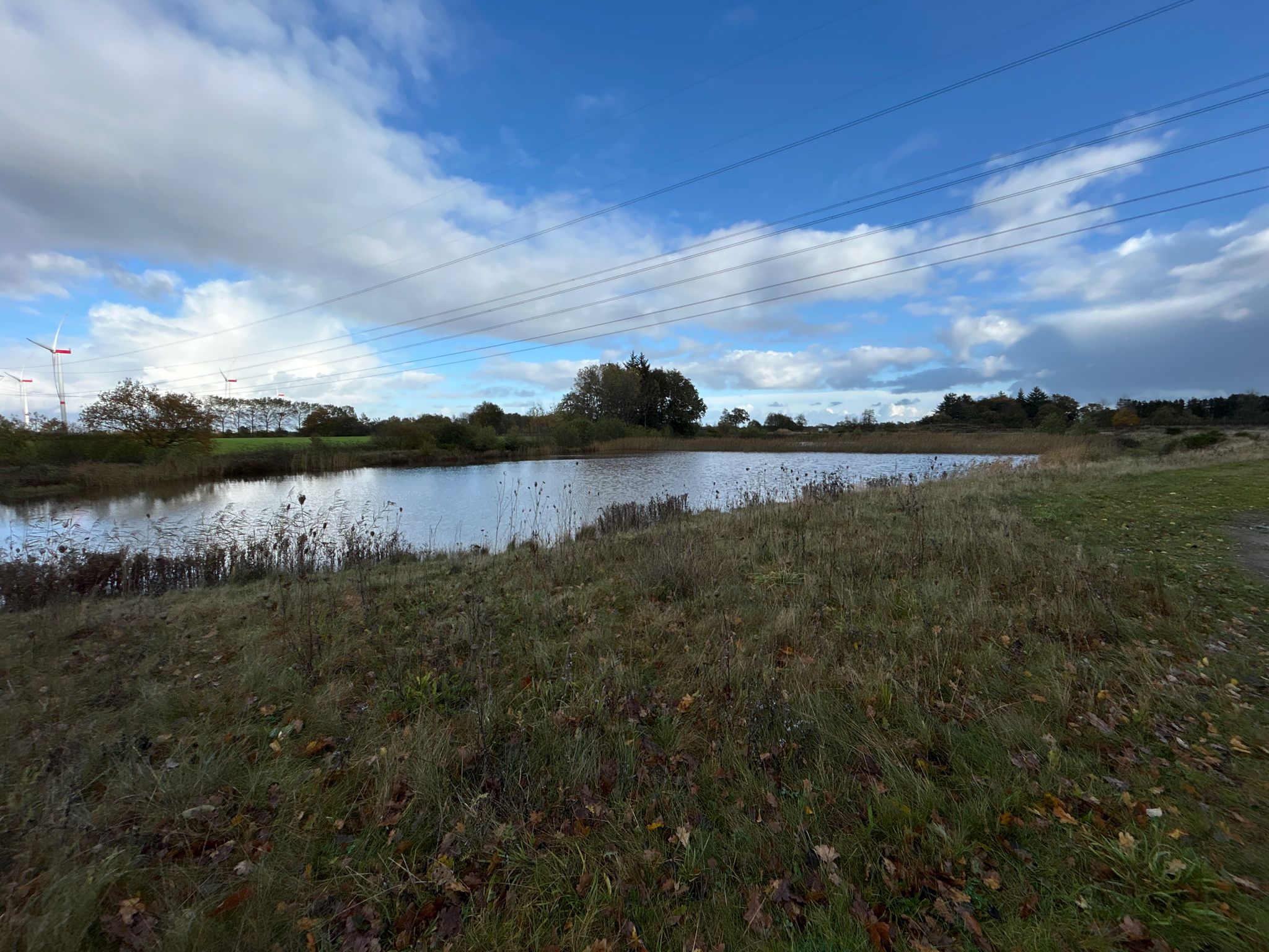 Ockerteich an der Norderbek