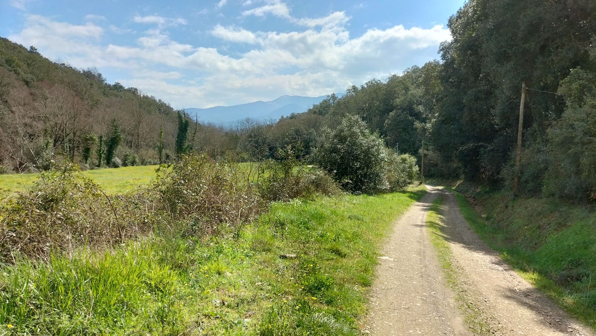 Cami de Céret