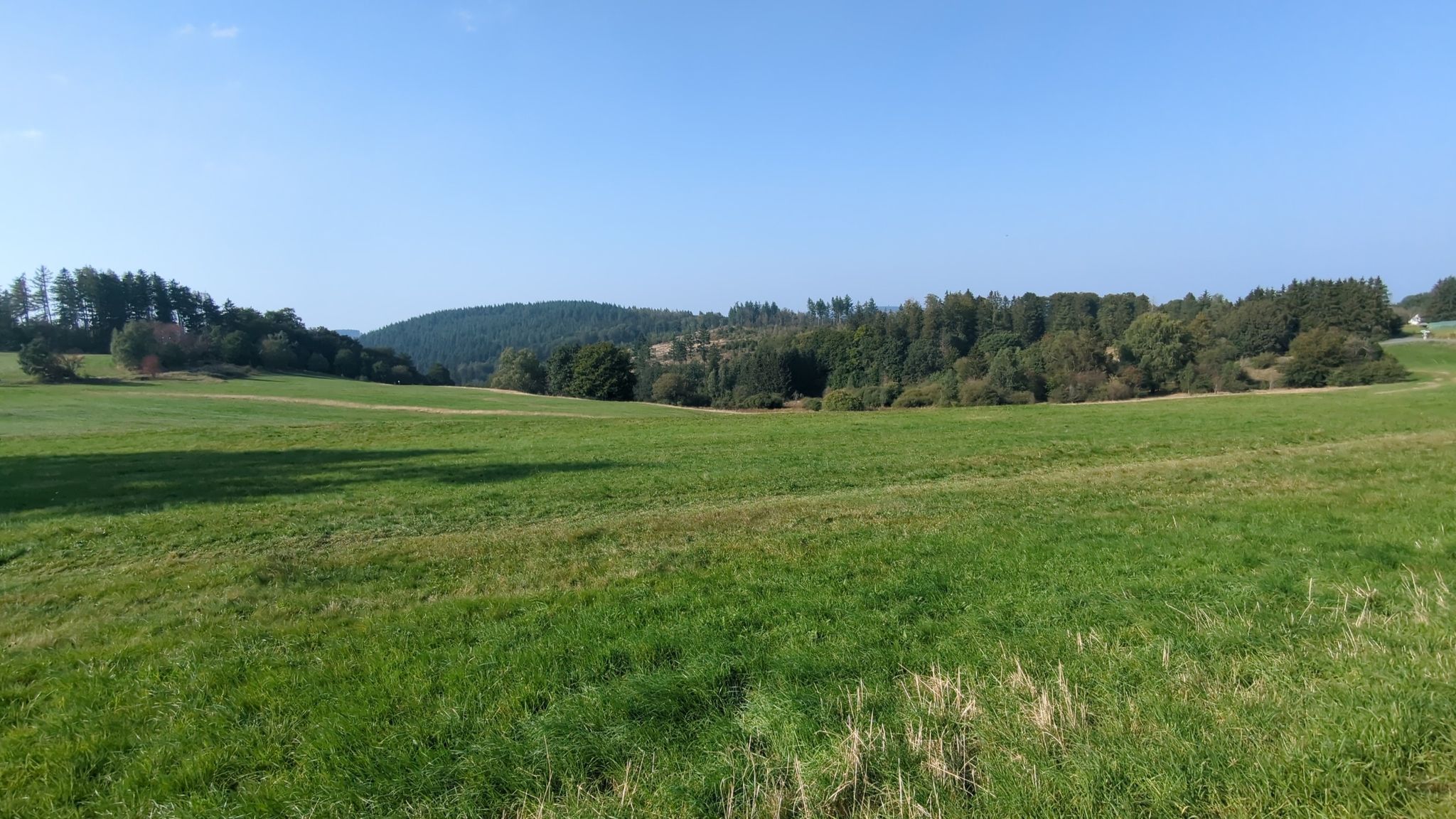 Pechwiese