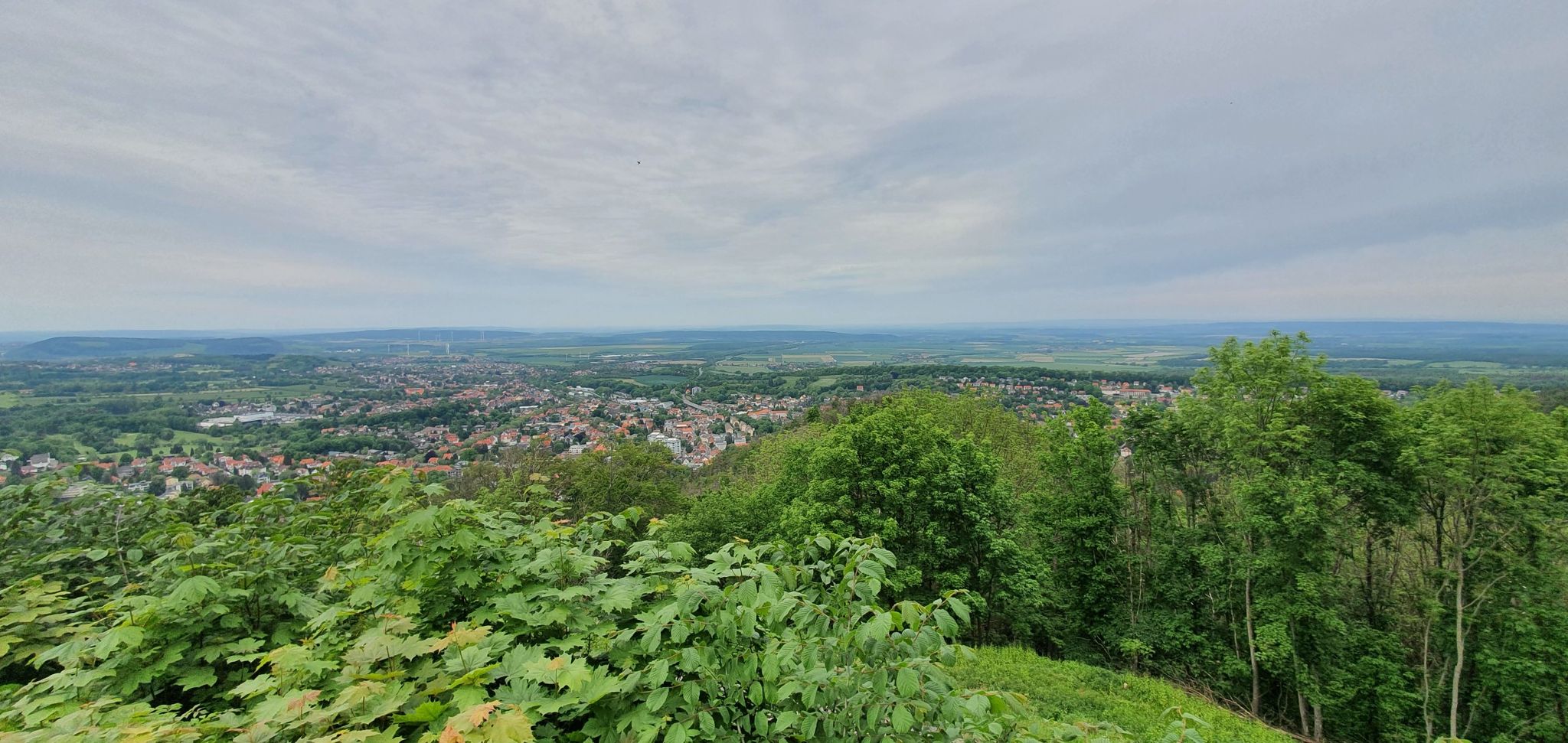 Ausblick