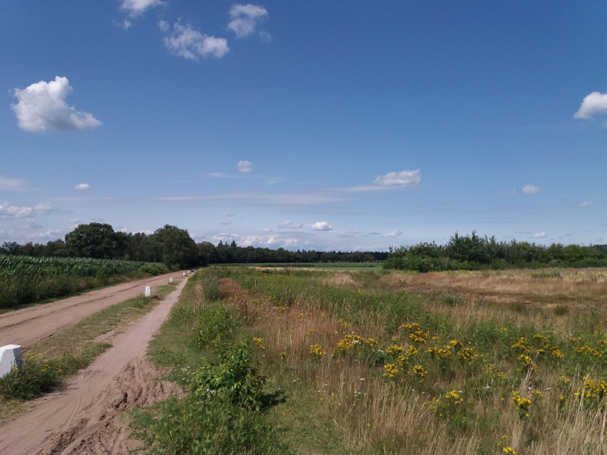 Drienerveld am Vliegveld Twente-Enschede