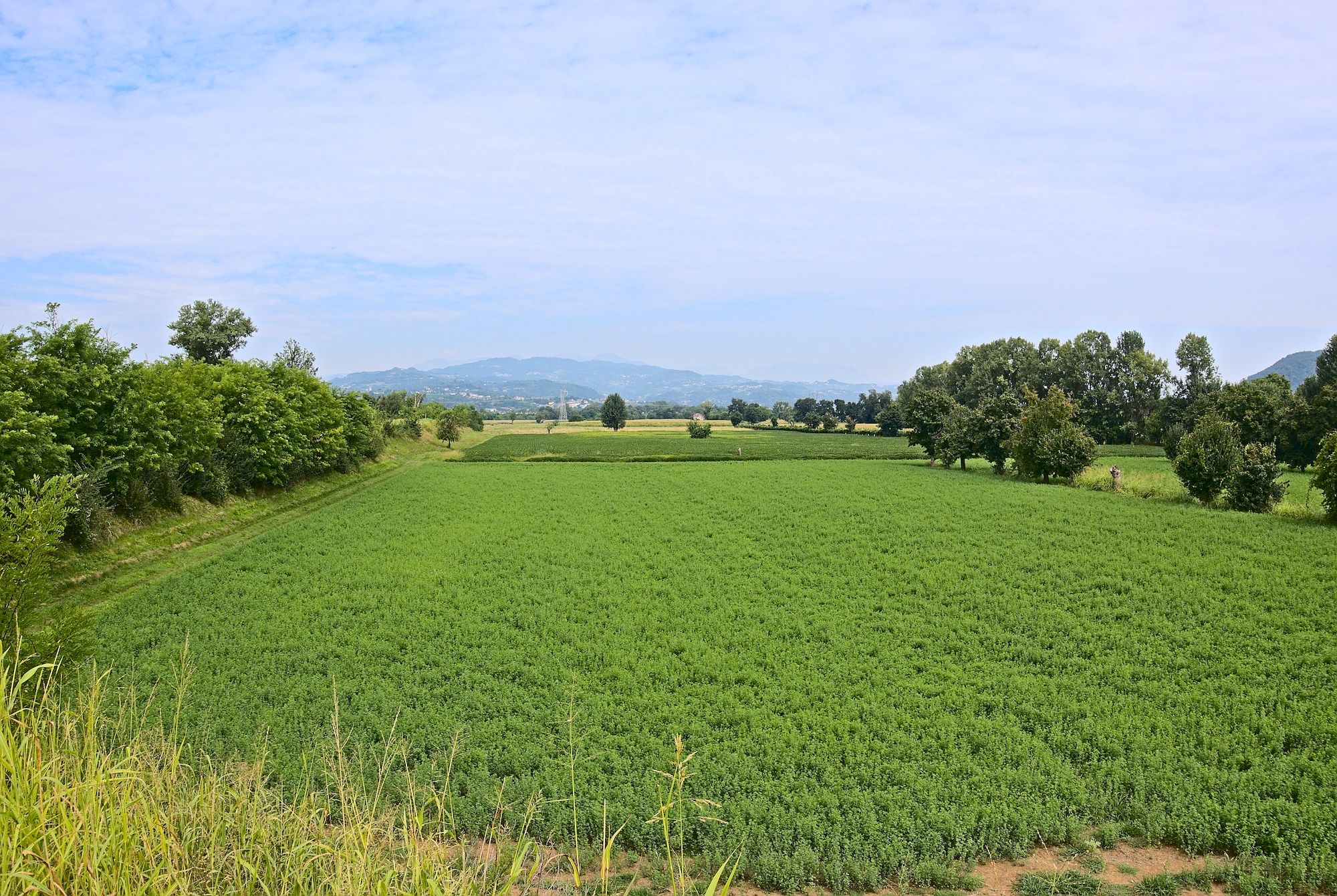 Blick zu den noch nahen Bergen