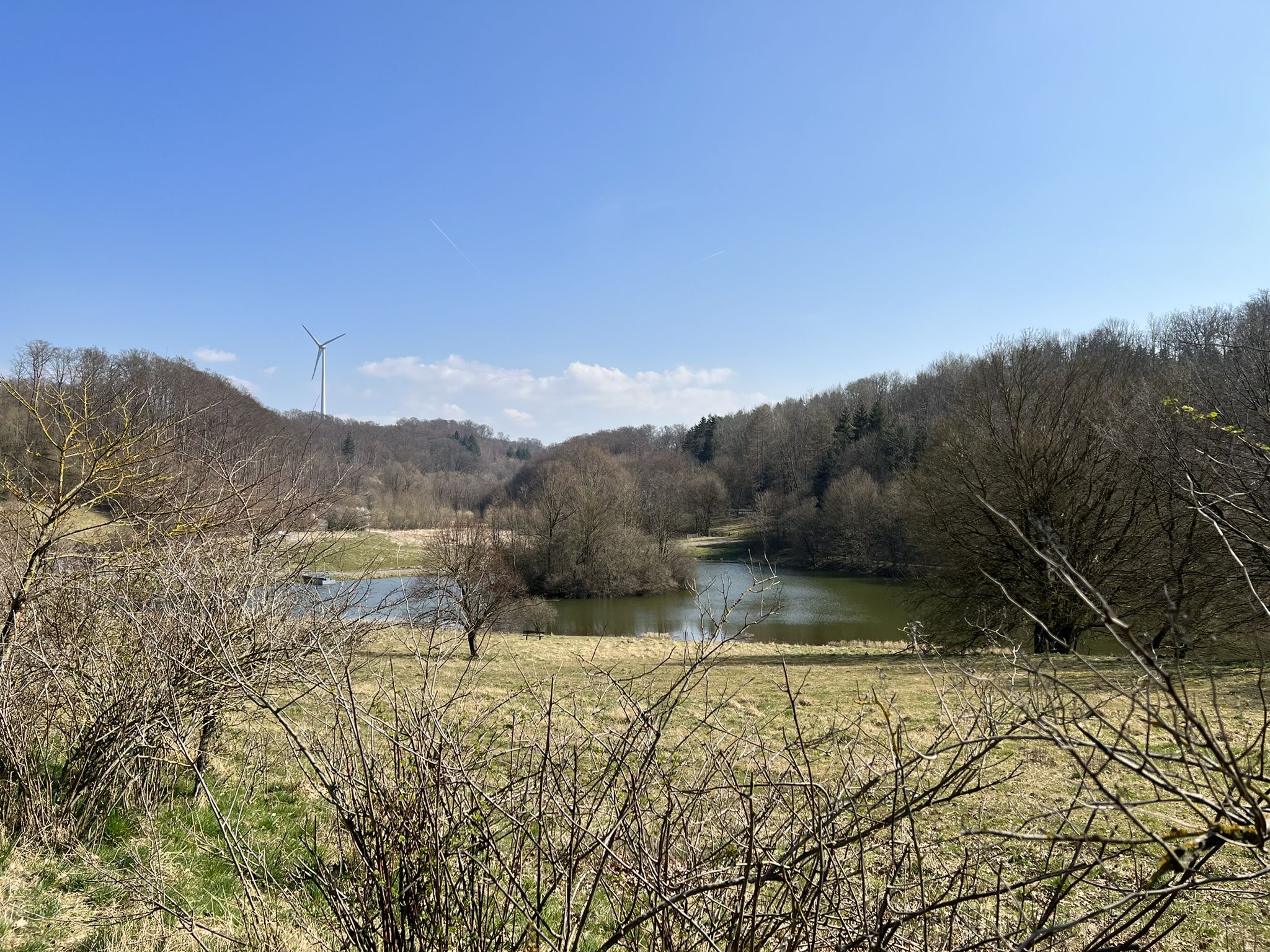 renaturiertes Altenautal