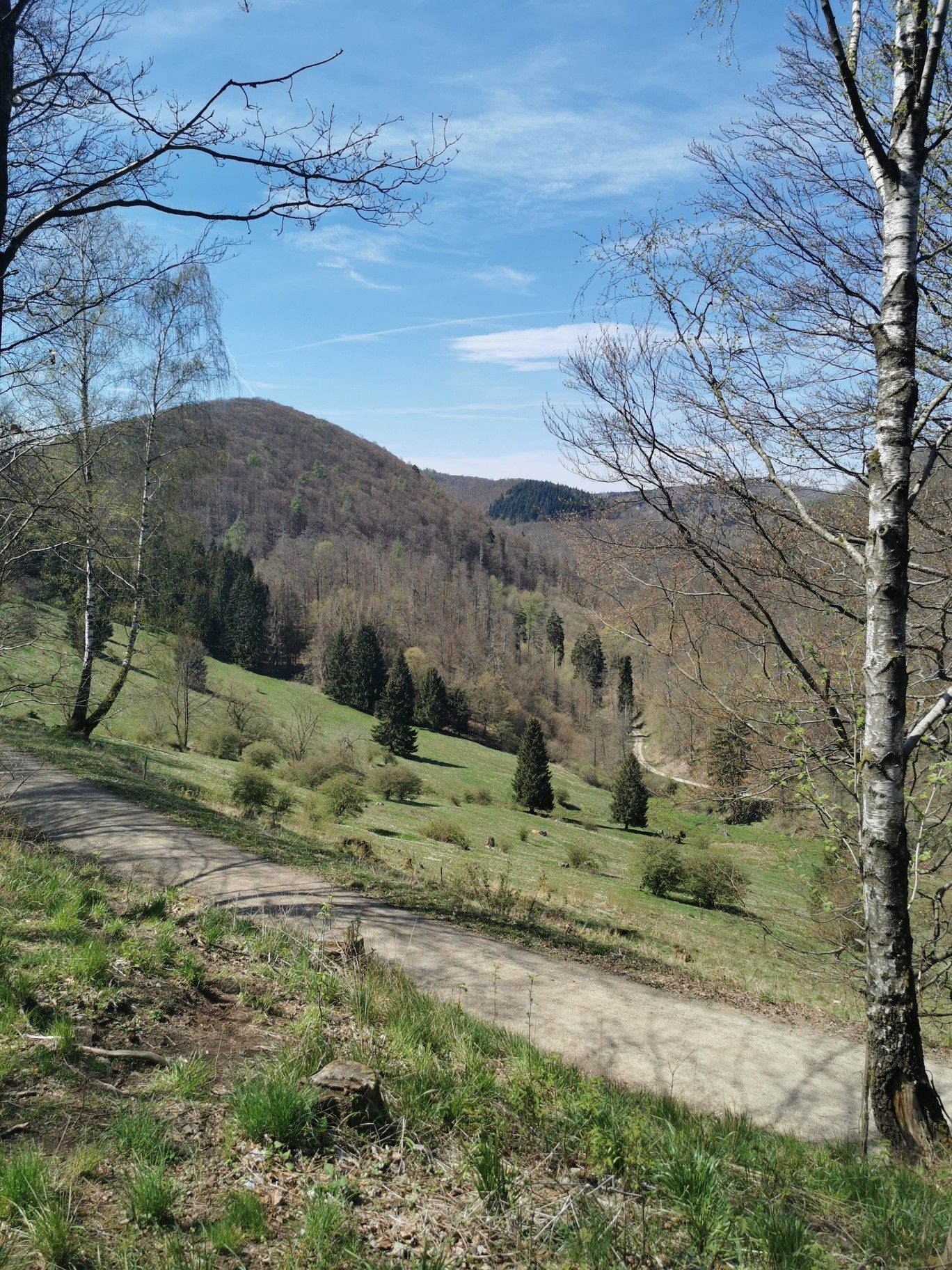 Hundertmorgenwiese 