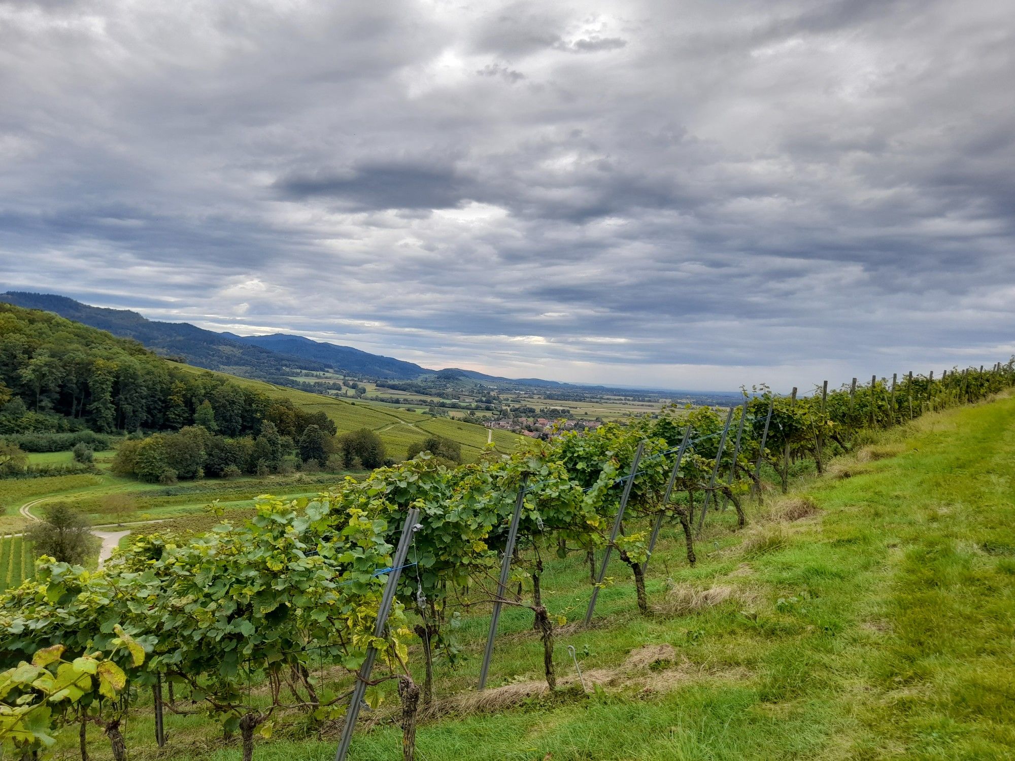 Schöne Aussicht