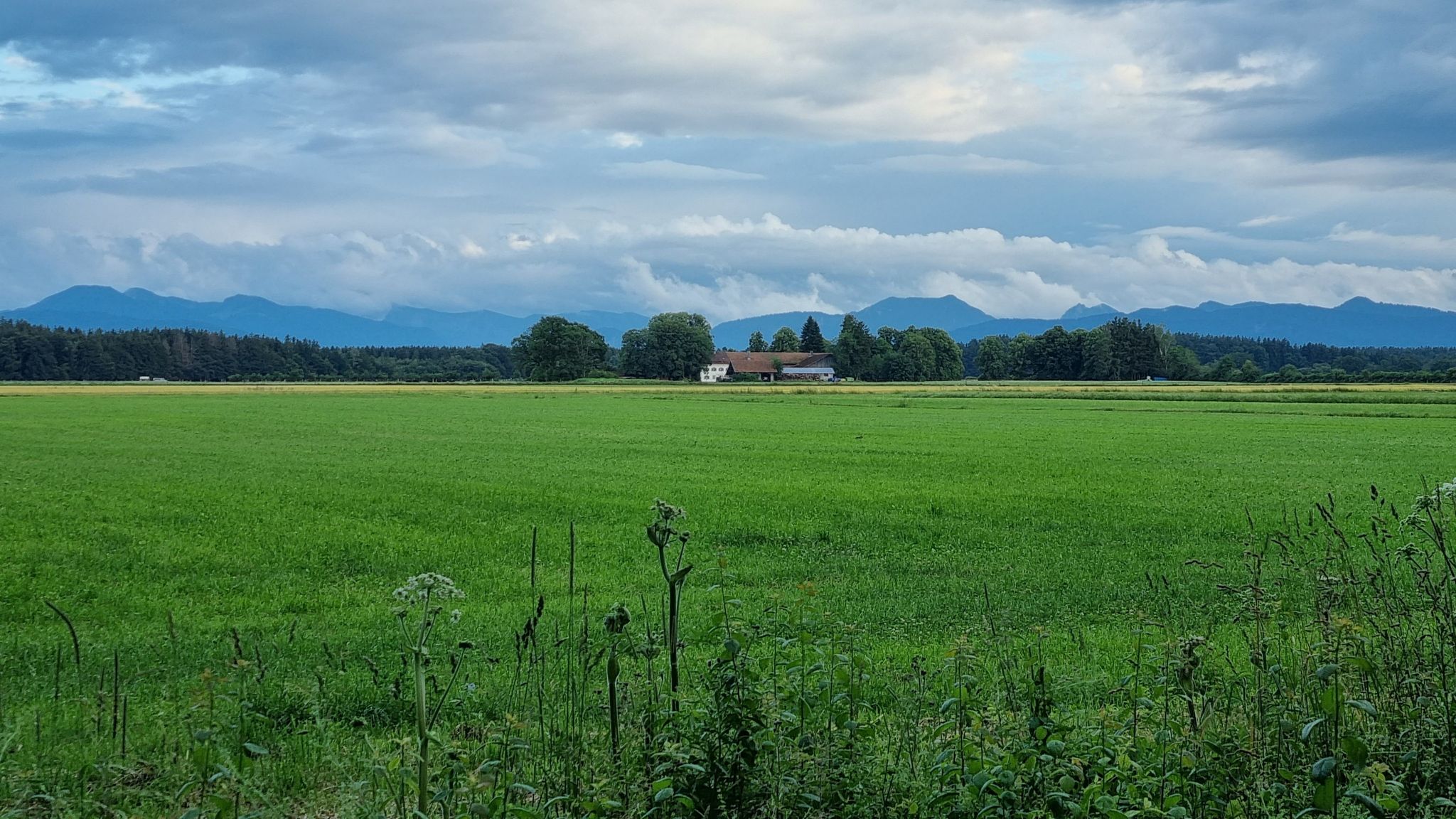 hier auch wieder ein schöner Blick auf die Tegernseer Voralpen...