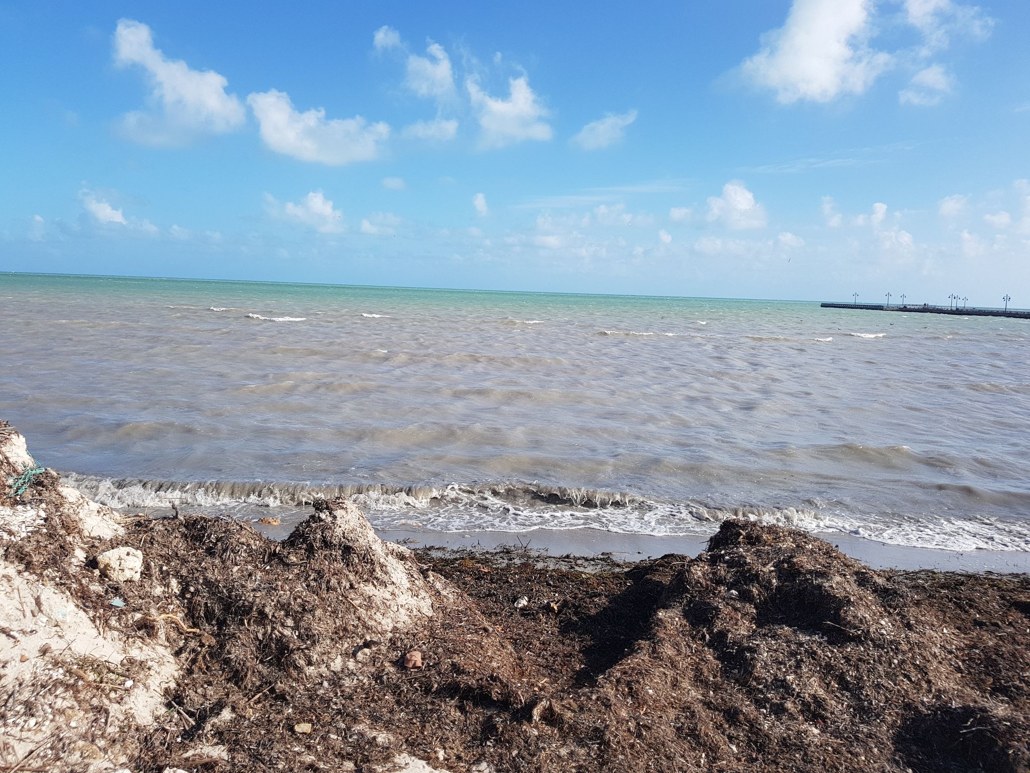Ocean waves breaking on a sandy beach covered in seaweed under blue sky. - Key West Lighthouse – Southernmost Point Buoy loop from Key West