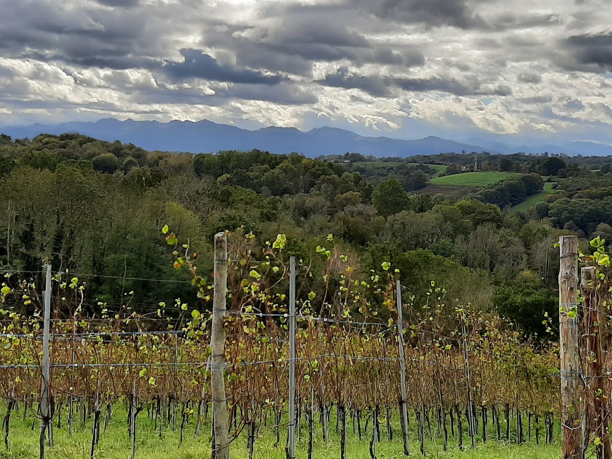Les côteaux sous un ciel menaçant
