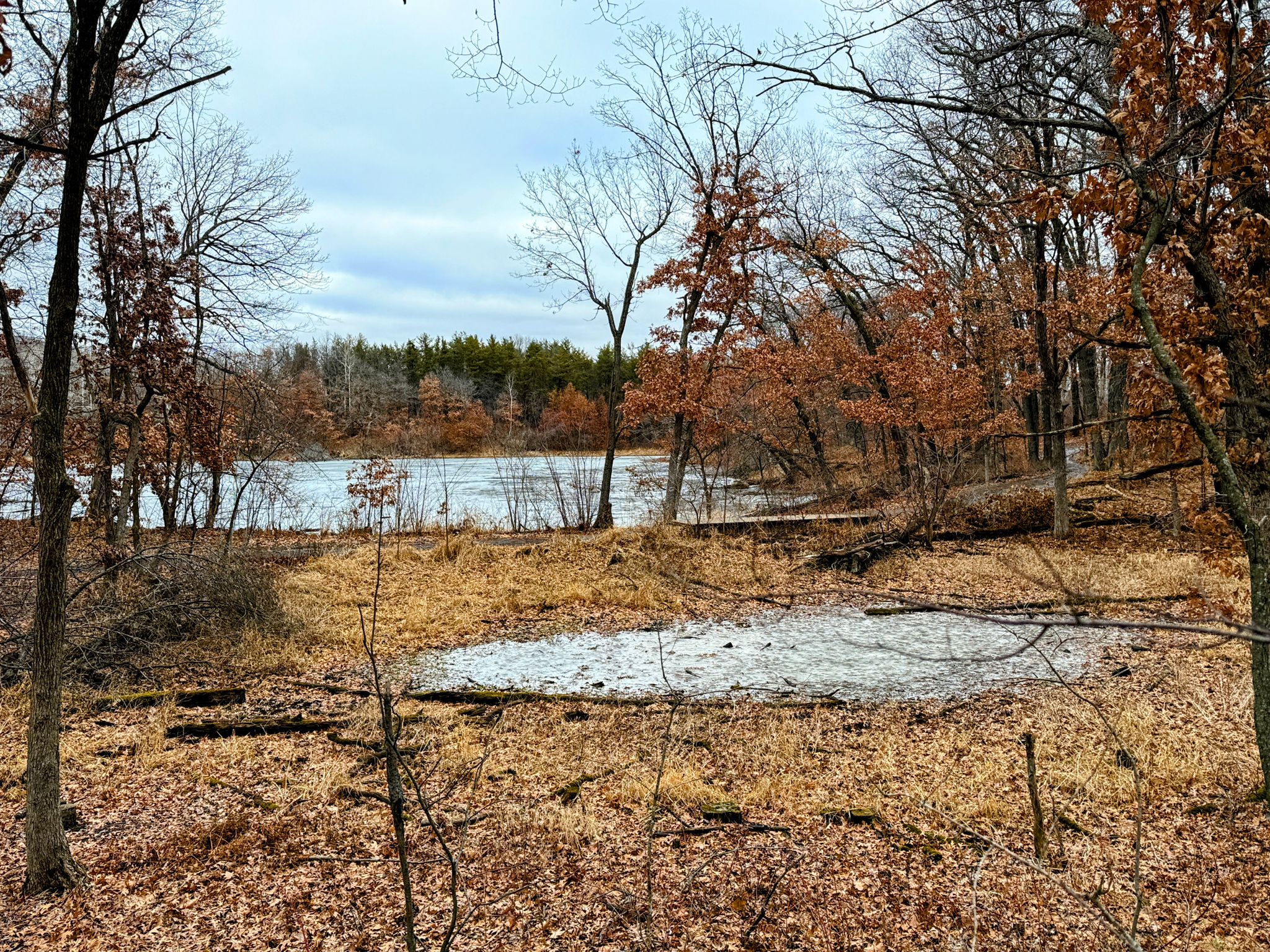 Partially frozen lake surrounded by bare trees and brown foliage under cloudy sky. - Jensen Lake – Portage loop from Frog Pond