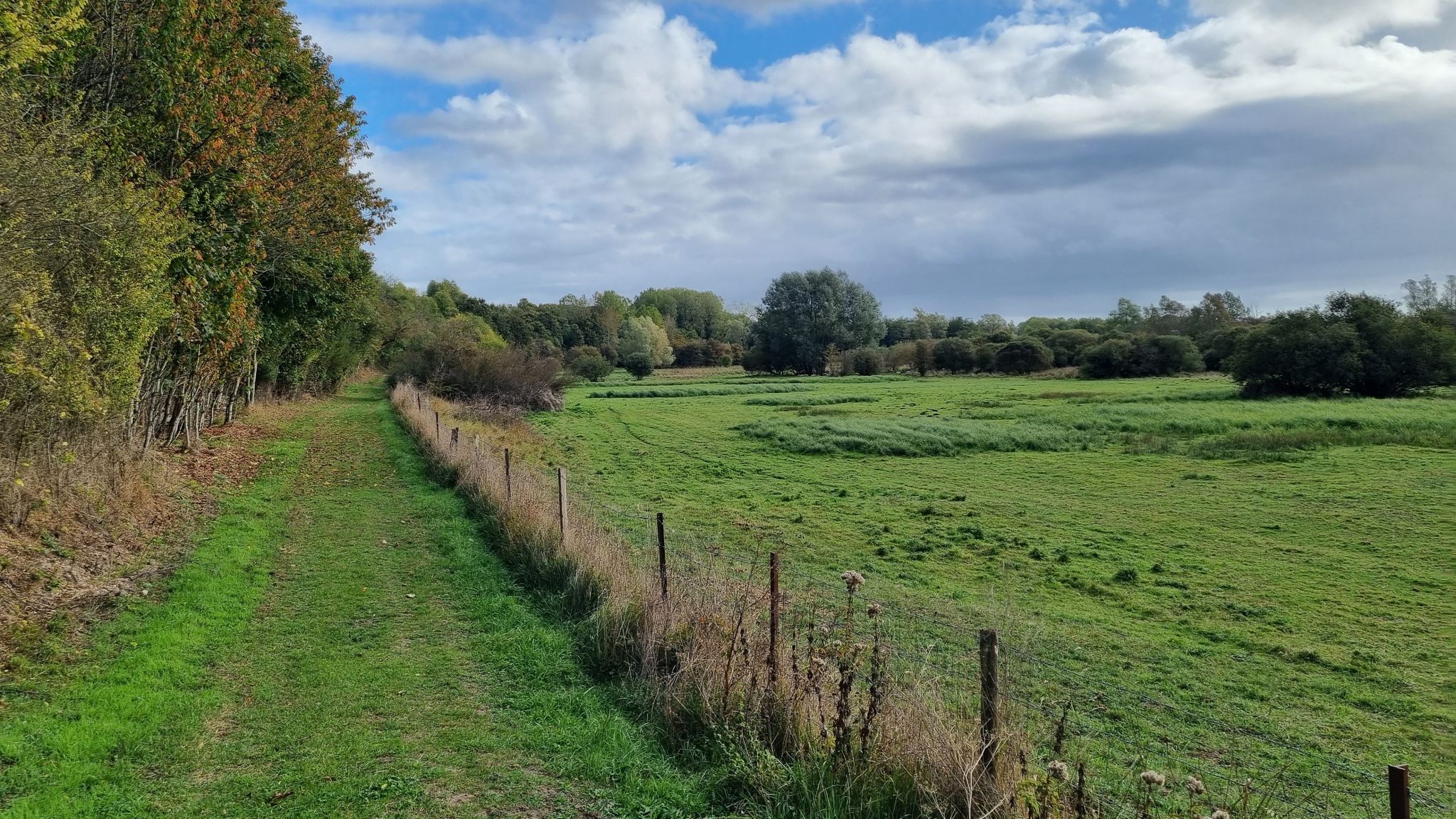 Joli chemin en bordure du marais / Lovely path along the edge of the marsh