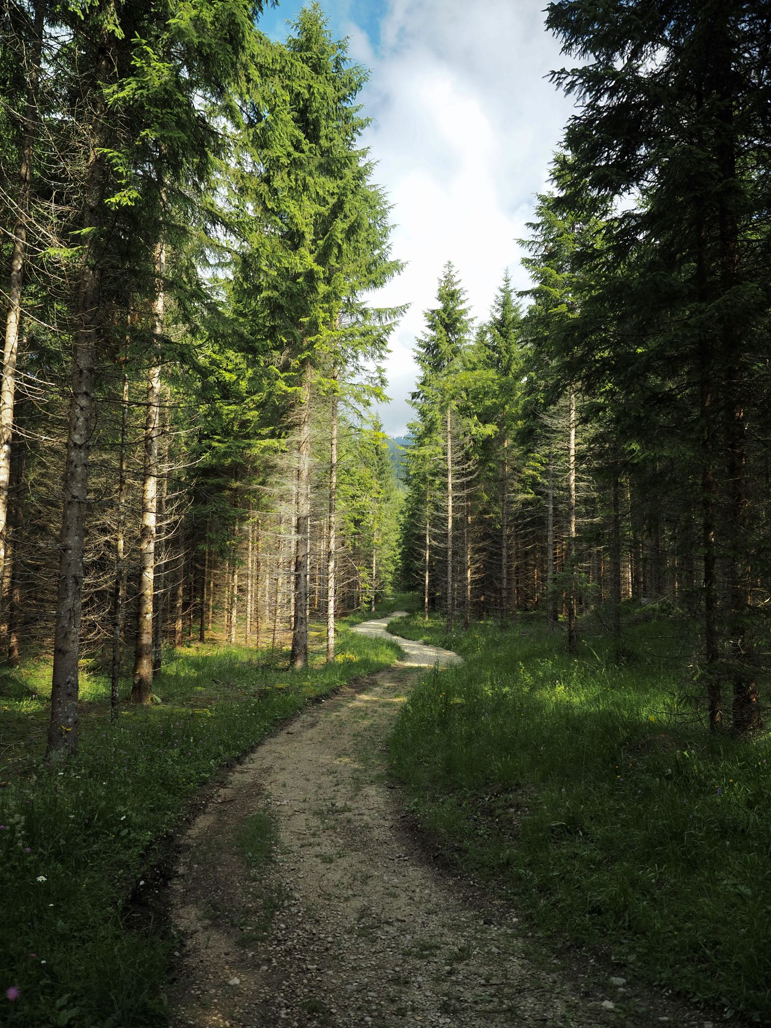 Alternative track to Val di Nos