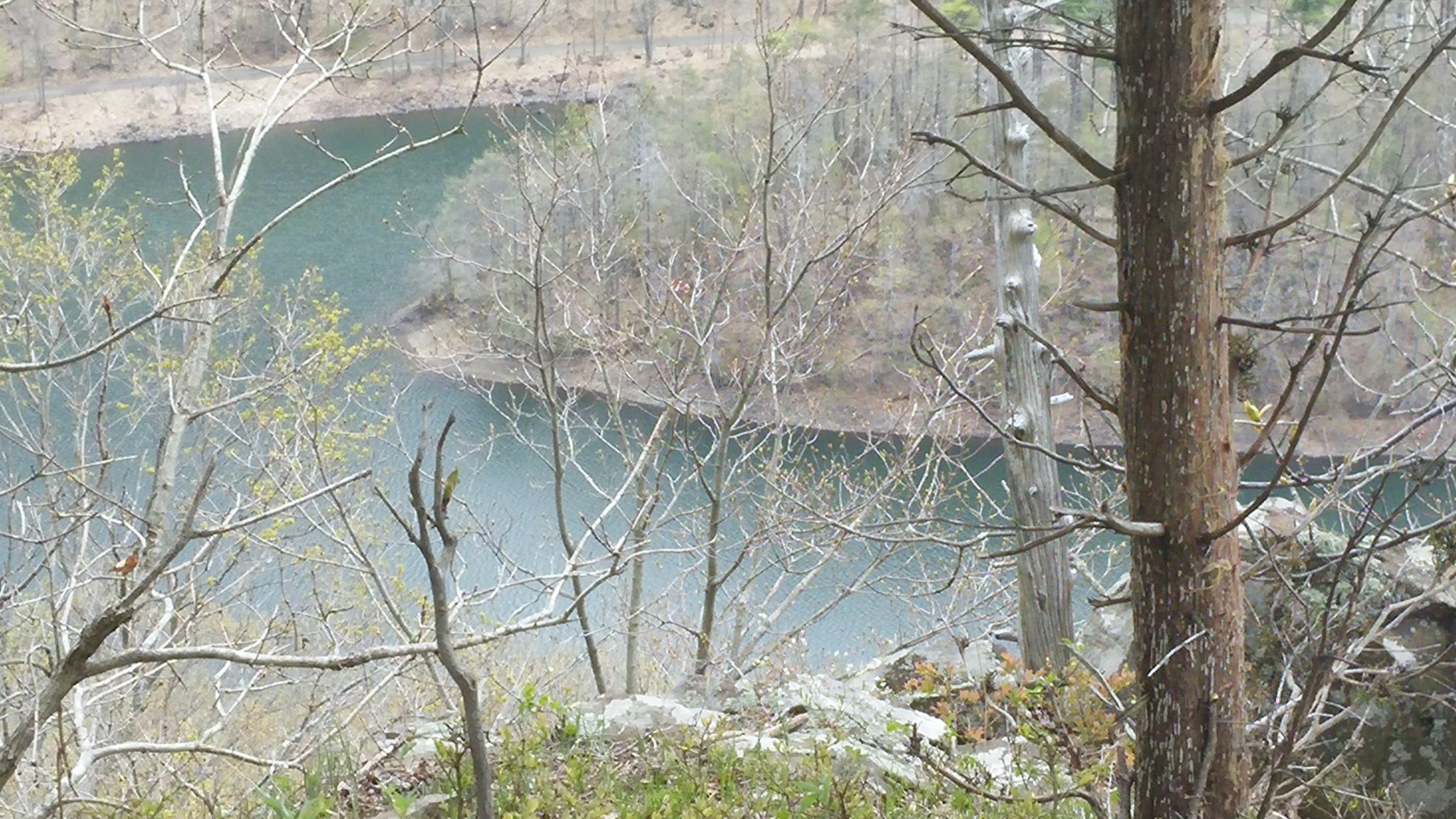 View of a winding lake through bare tree branches from a high vantage point. - Metacomet, Castle Craig, and South Mountain Loop