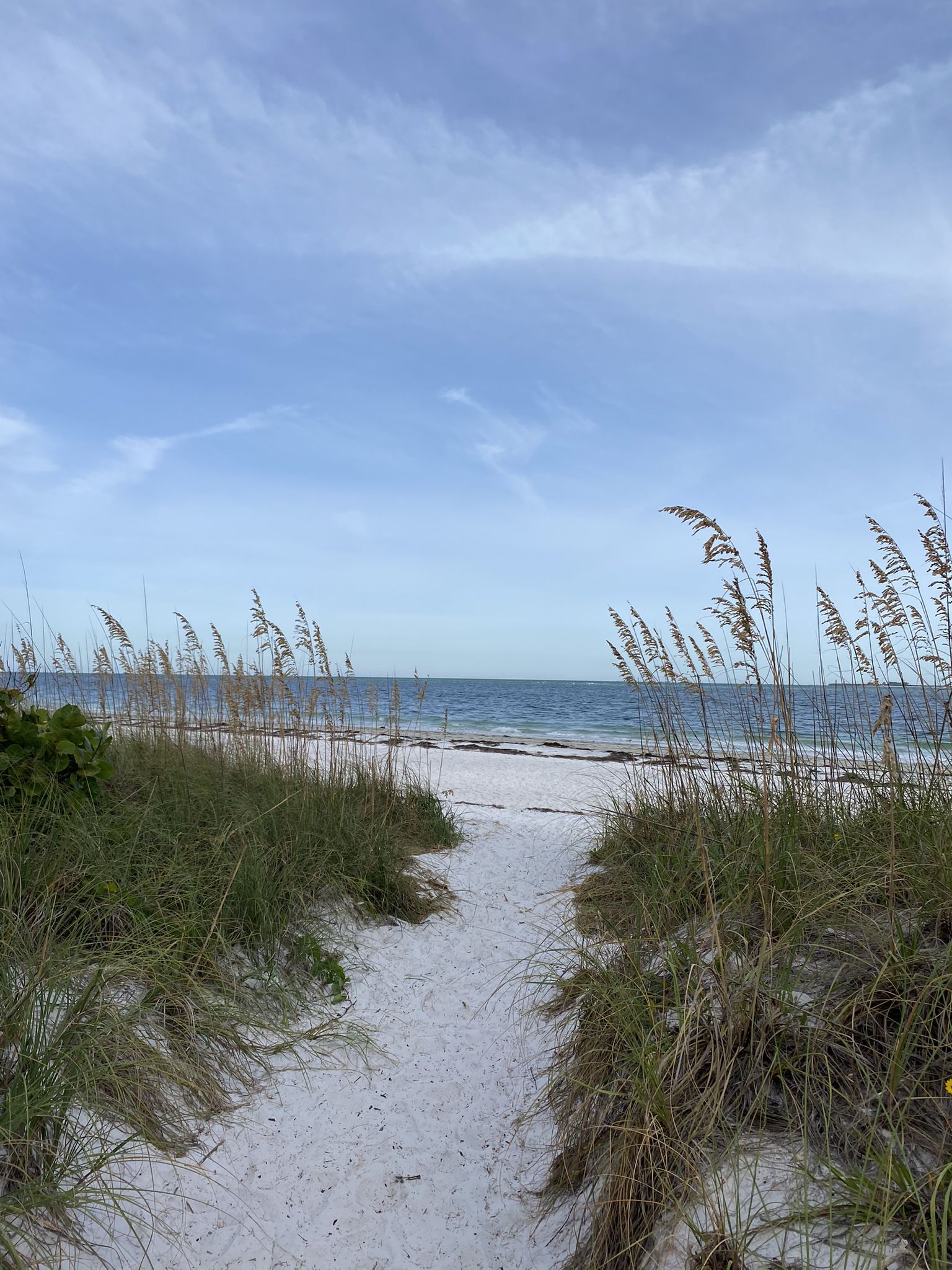 Sandy path through dunes to ocean under a partly cloudy sky. - Anna Maria Island Beach Walk