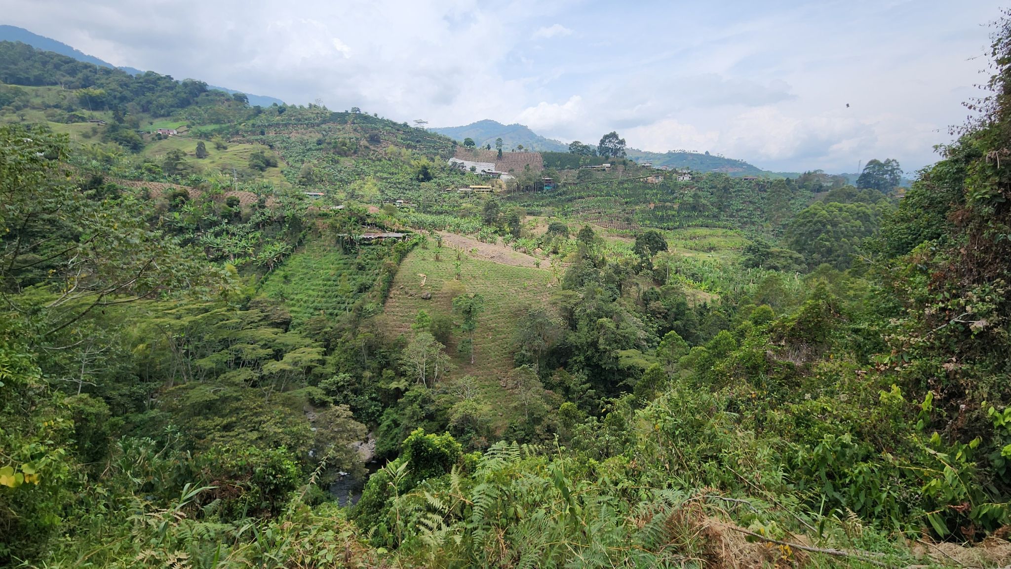 Panorámica desde la ruta